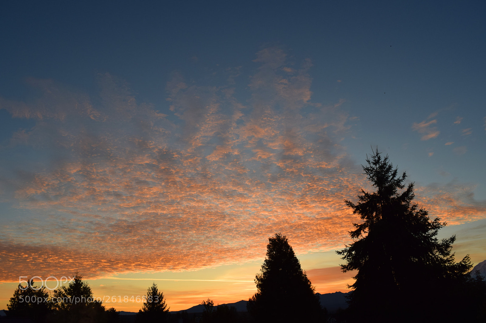 Nikon D3300 sample photo. Early riser photography