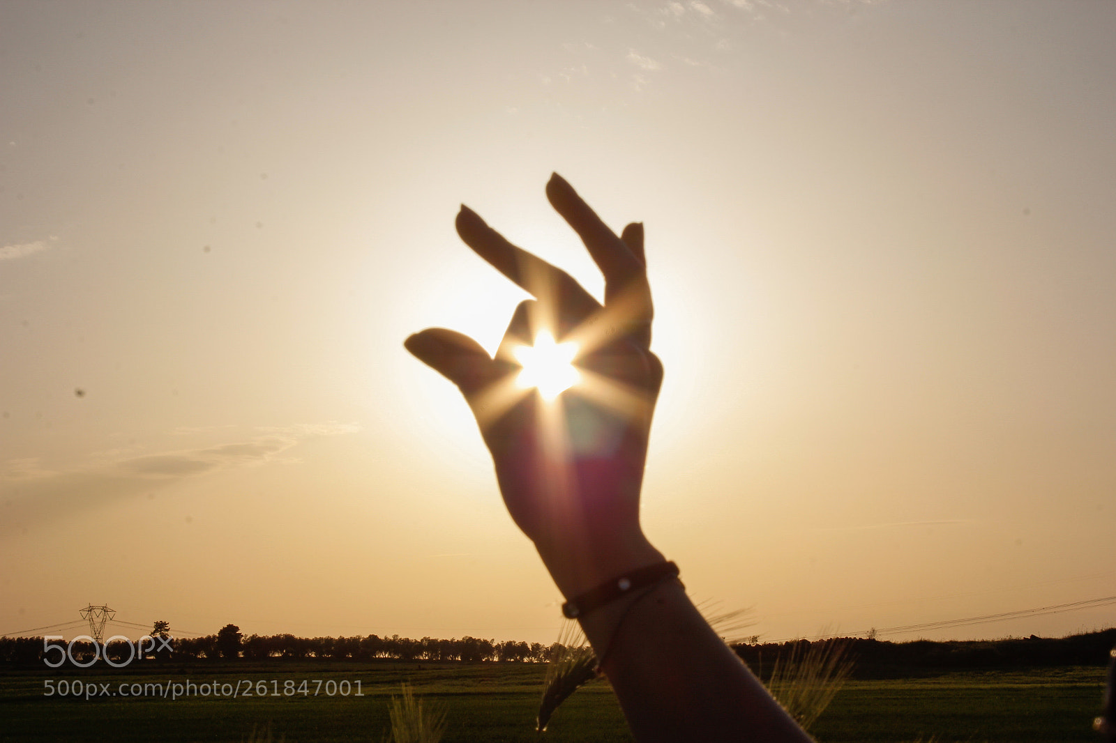 Canon EOS 60D sample photo. Let the light in photography