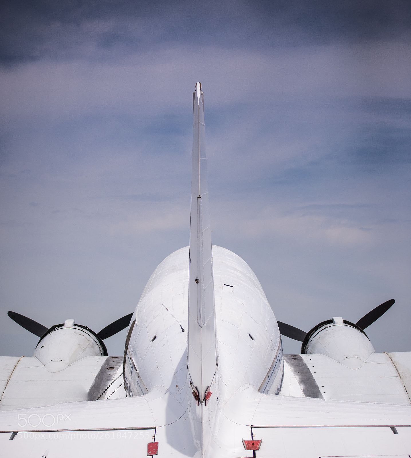 Nikon D610 sample photo. Plane during flyight photography