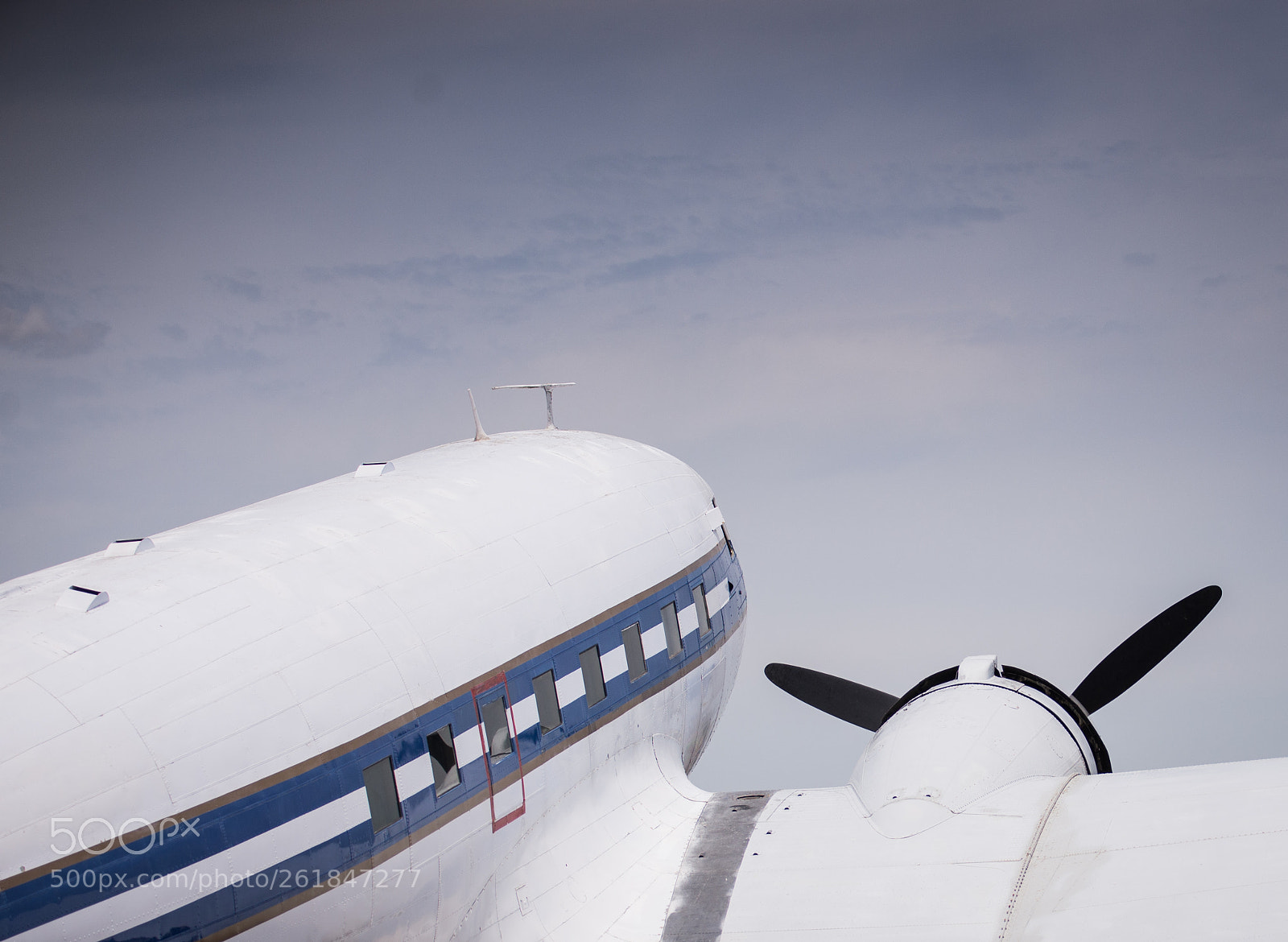 Nikon D610 sample photo. Flying plane photography
