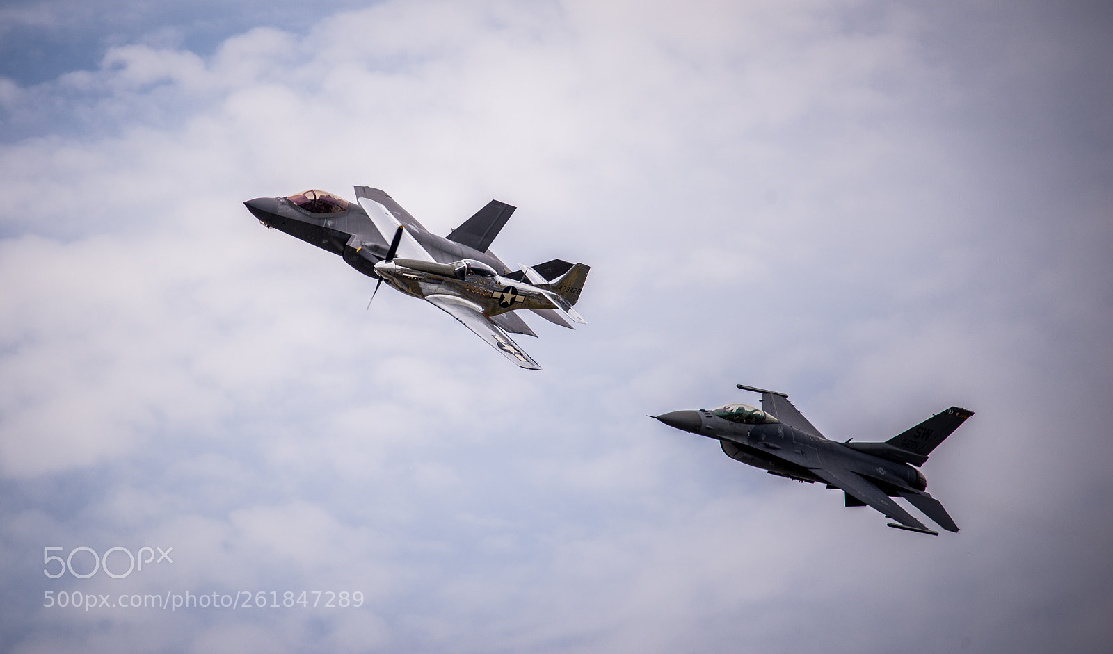 Nikon D610 sample photo. Mustang f16  f35 flying photography