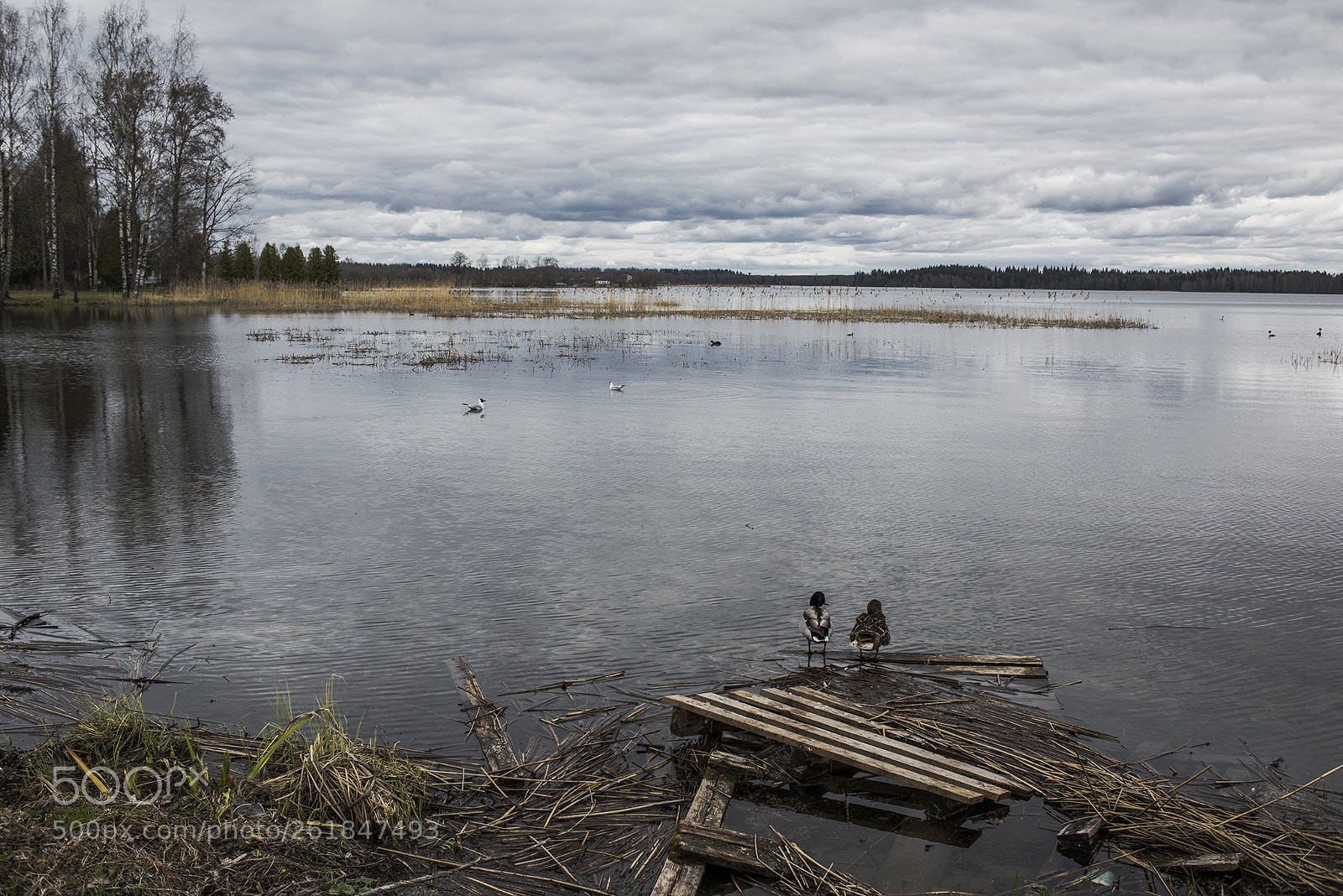 Nikon D810 sample photo. Somwhere in valday photography