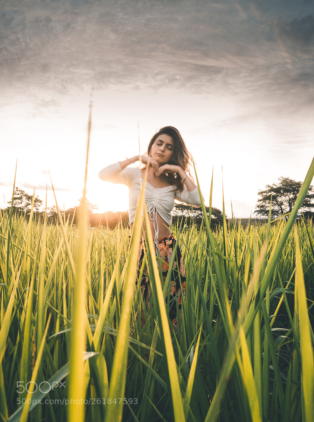 Sony a6000 sample photo. Untitled photography