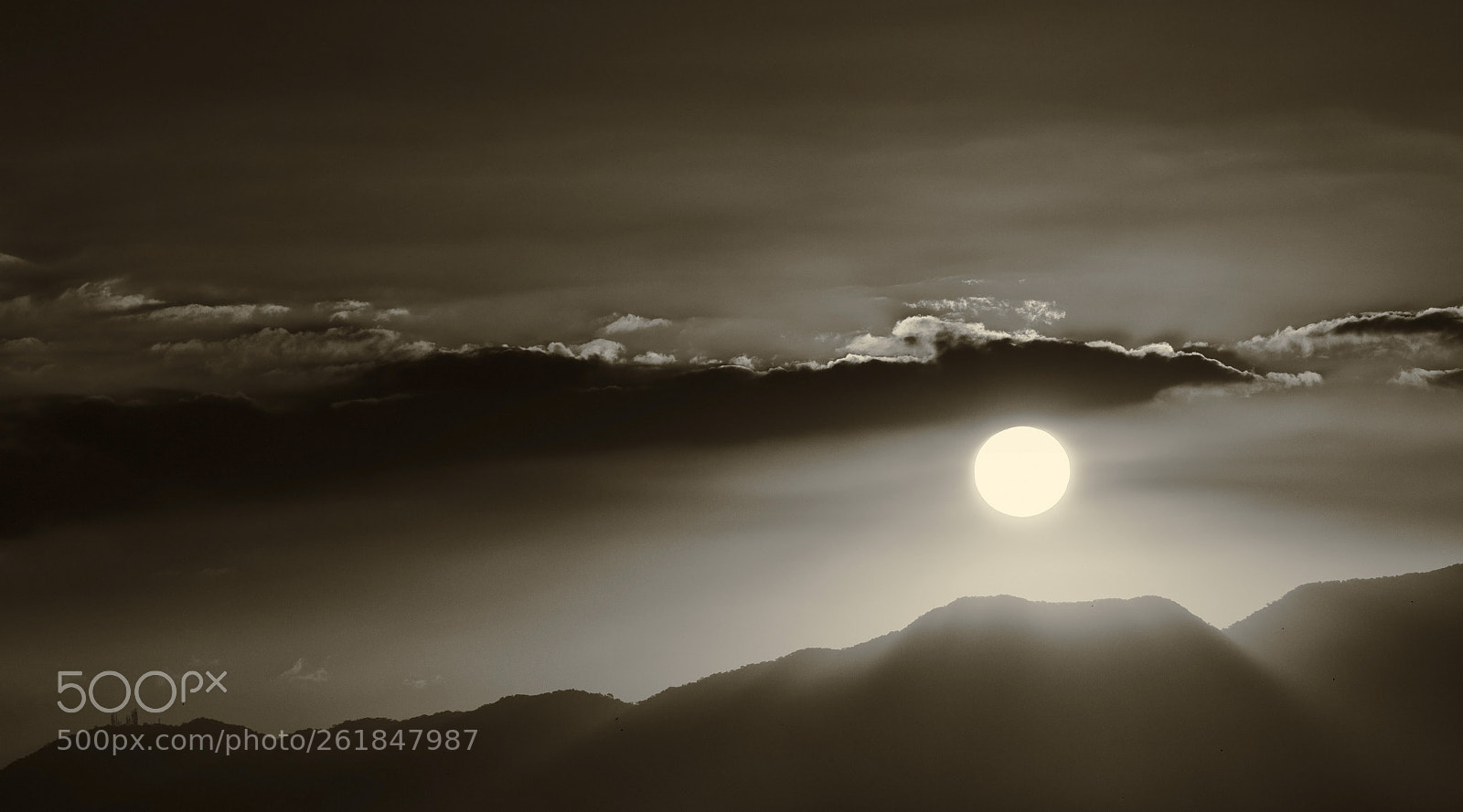 Canon EOS 60D sample photo. White sun photography