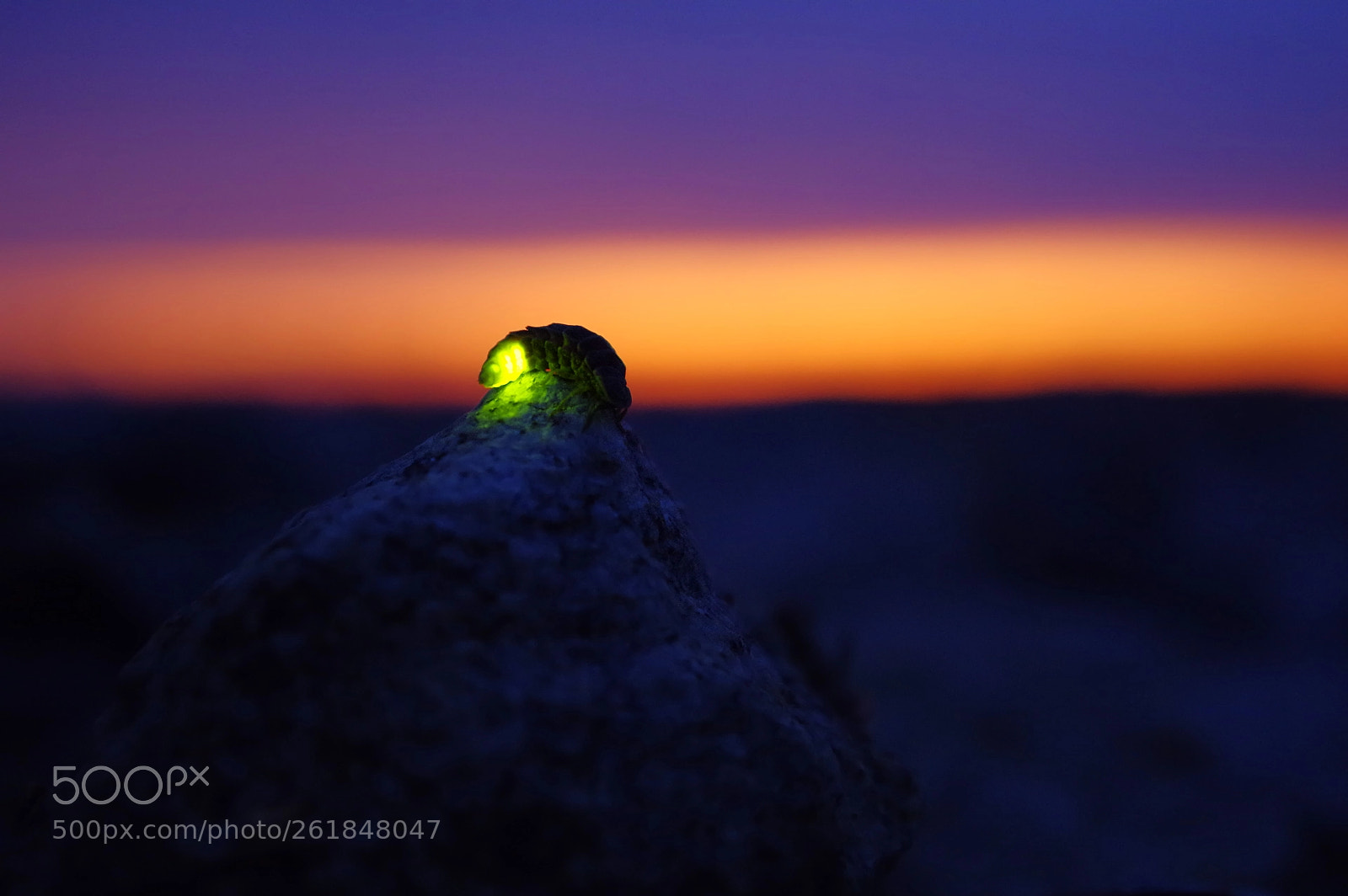 Pentax K-3 II sample photo. Night shift photography
