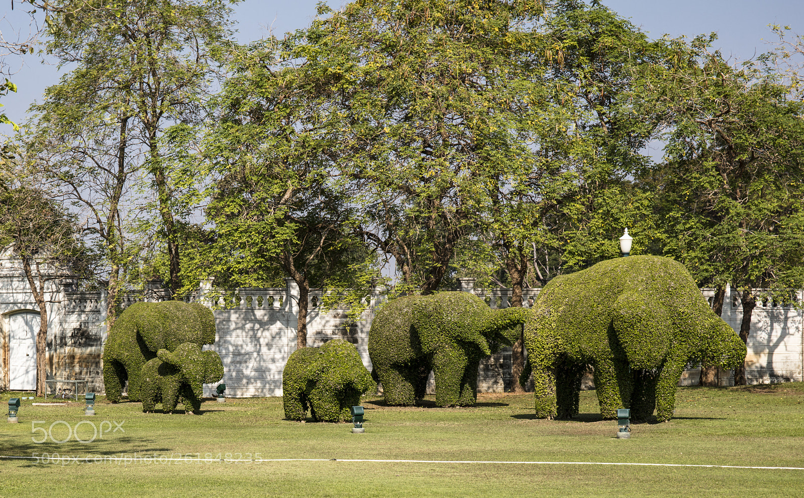 Canon EOS 5DS sample photo. Topiary elephants bang pa photography