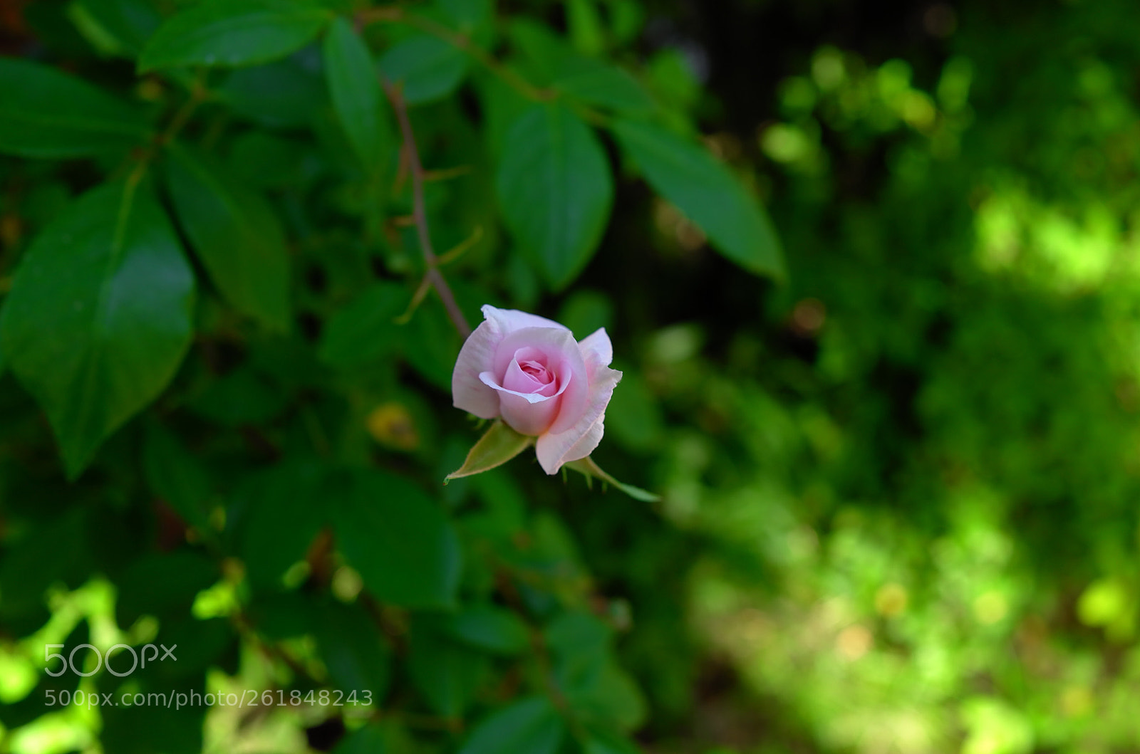 Leica X (Typ 113) sample photo. The center of your photography