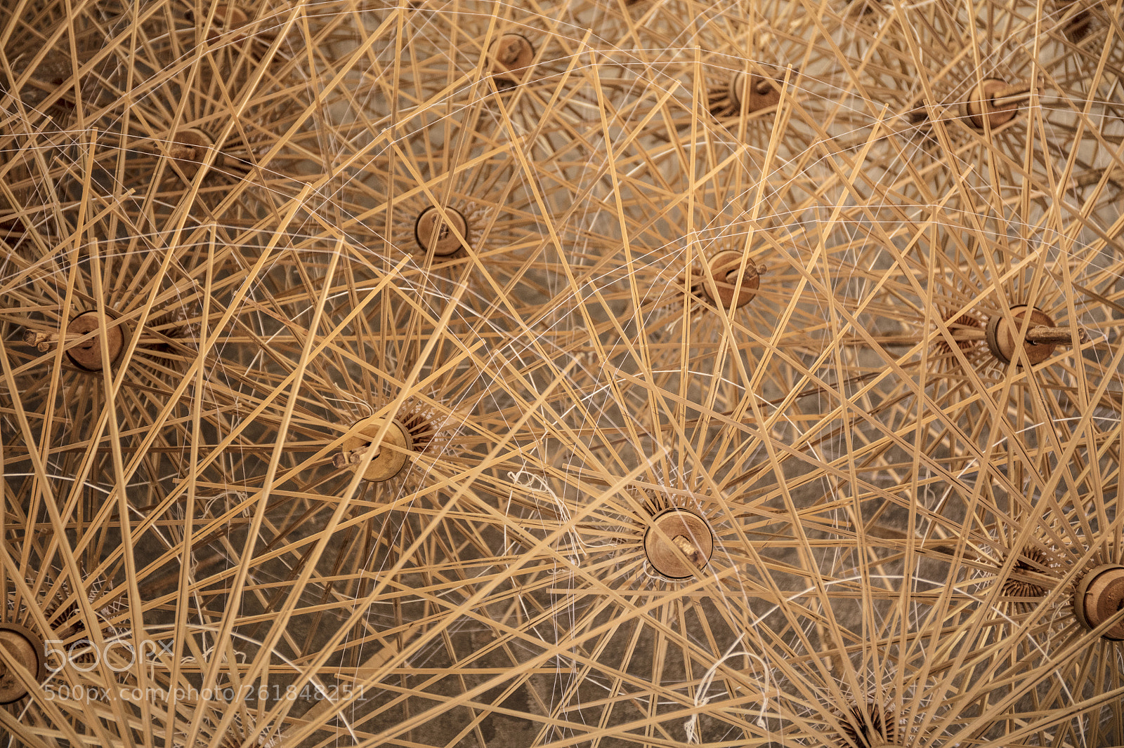 Canon EOS 5DS sample photo. Umbrella frames bor sang photography