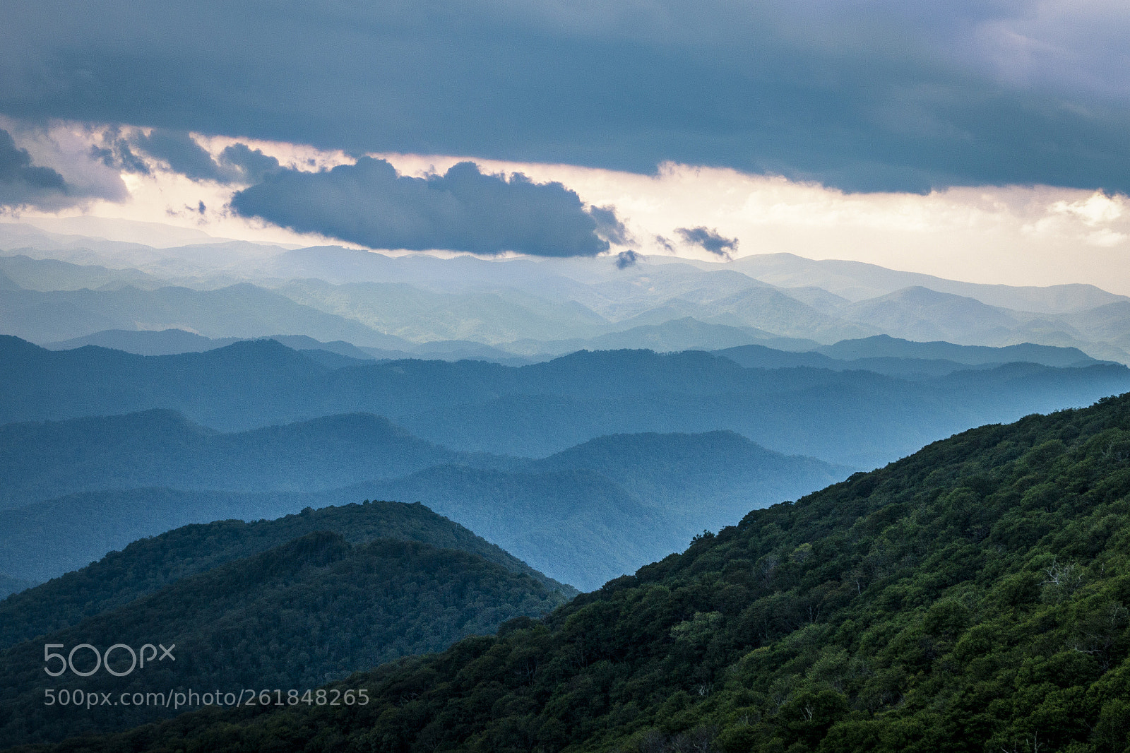 Canon EOS 70D sample photo. Craggy gardens view photography