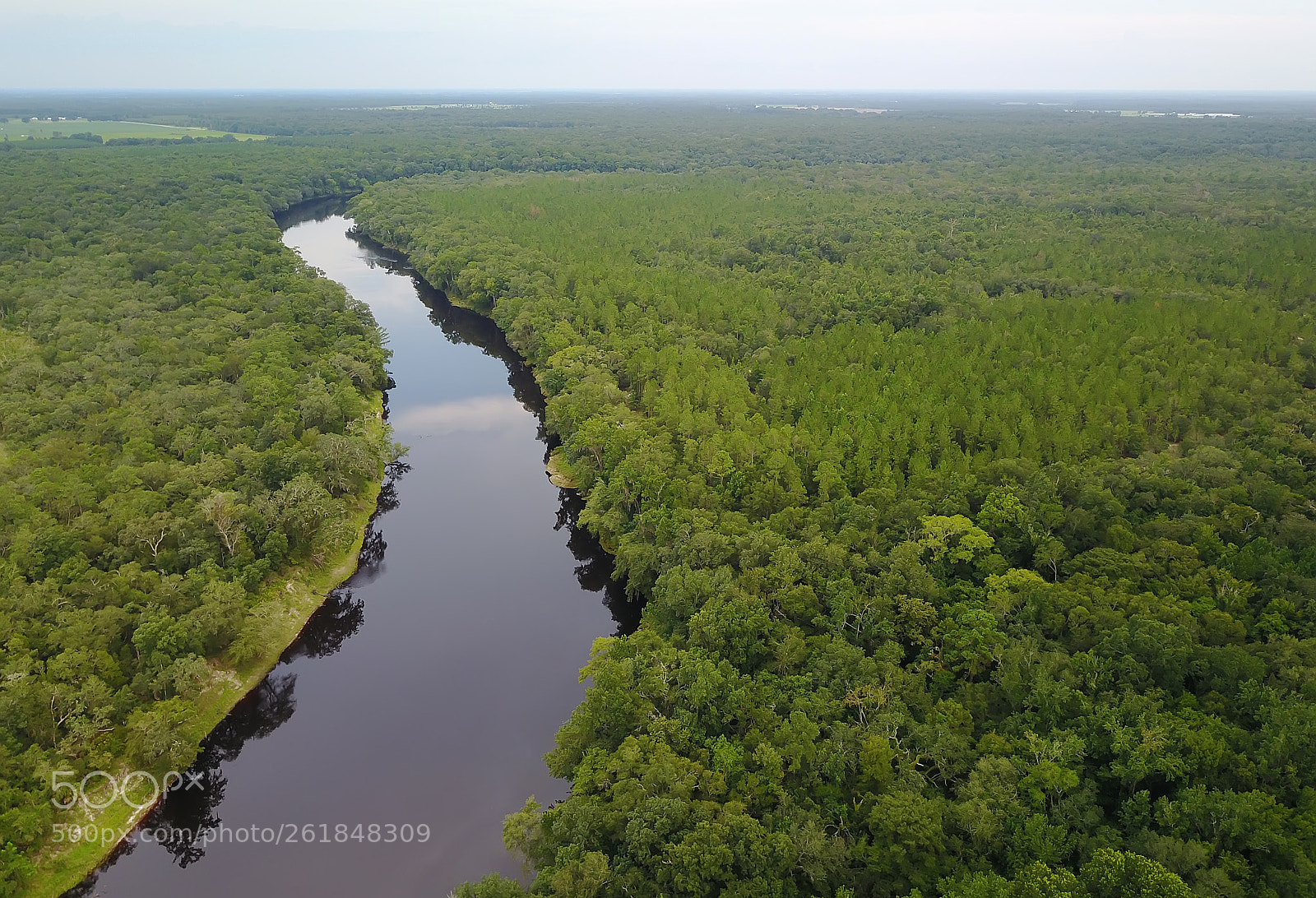 DJI FC220 sample photo. Suwannee river photography