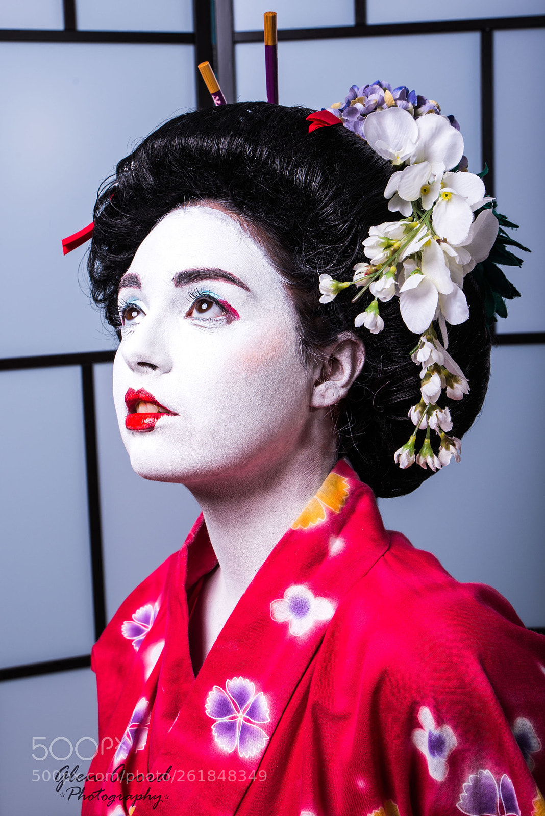 Nikon D750 sample photo. American geisha photography