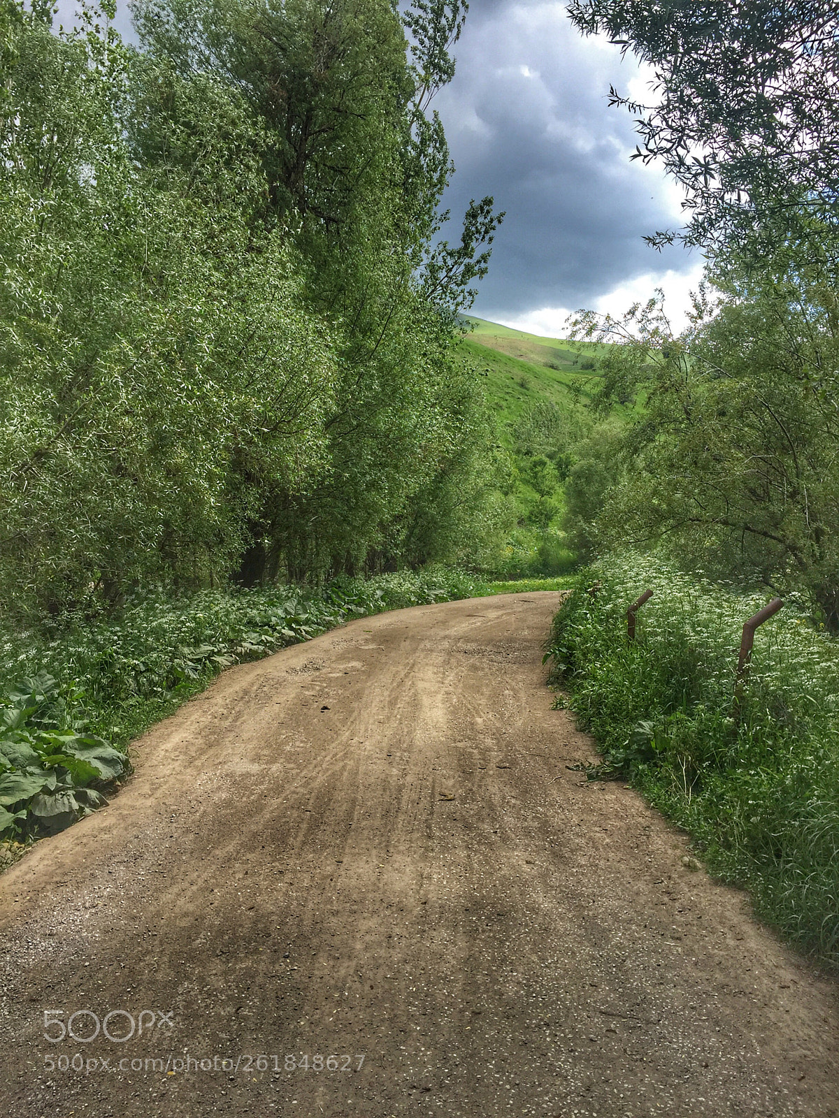 Apple iPhone 6 sample photo. My way photography