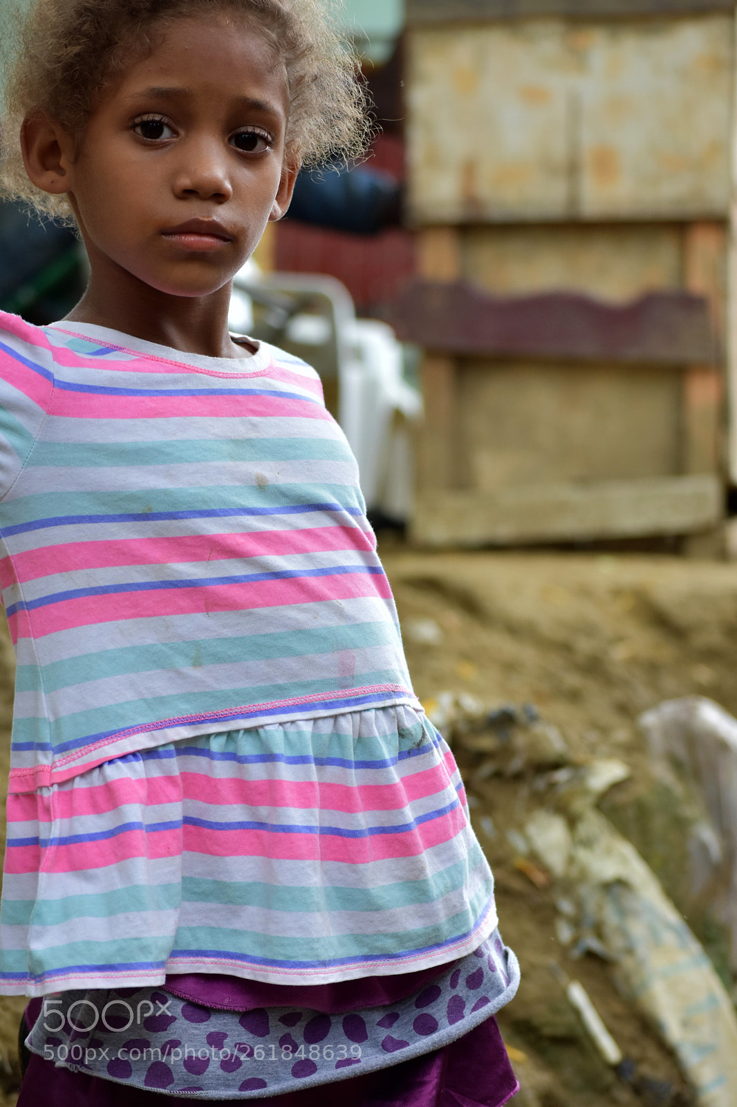 Nikon D3400 sample photo. The untitled photography