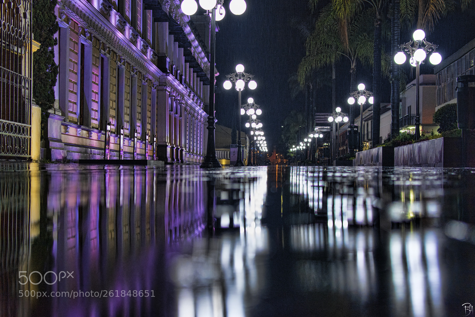 Nikon D7100 sample photo. A ras del suelo photography