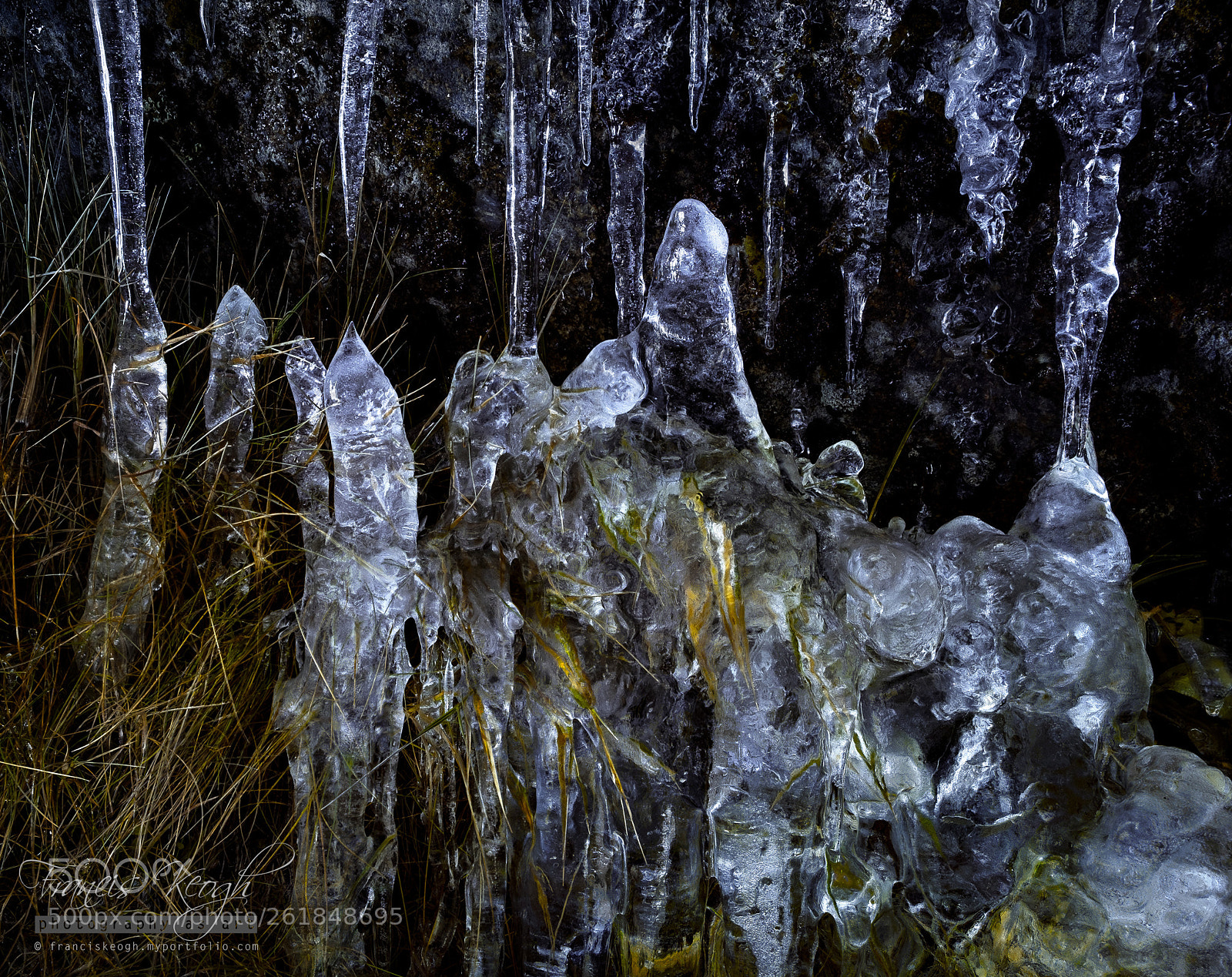 Fujifilm X-E1 sample photo. Icicle array photography
