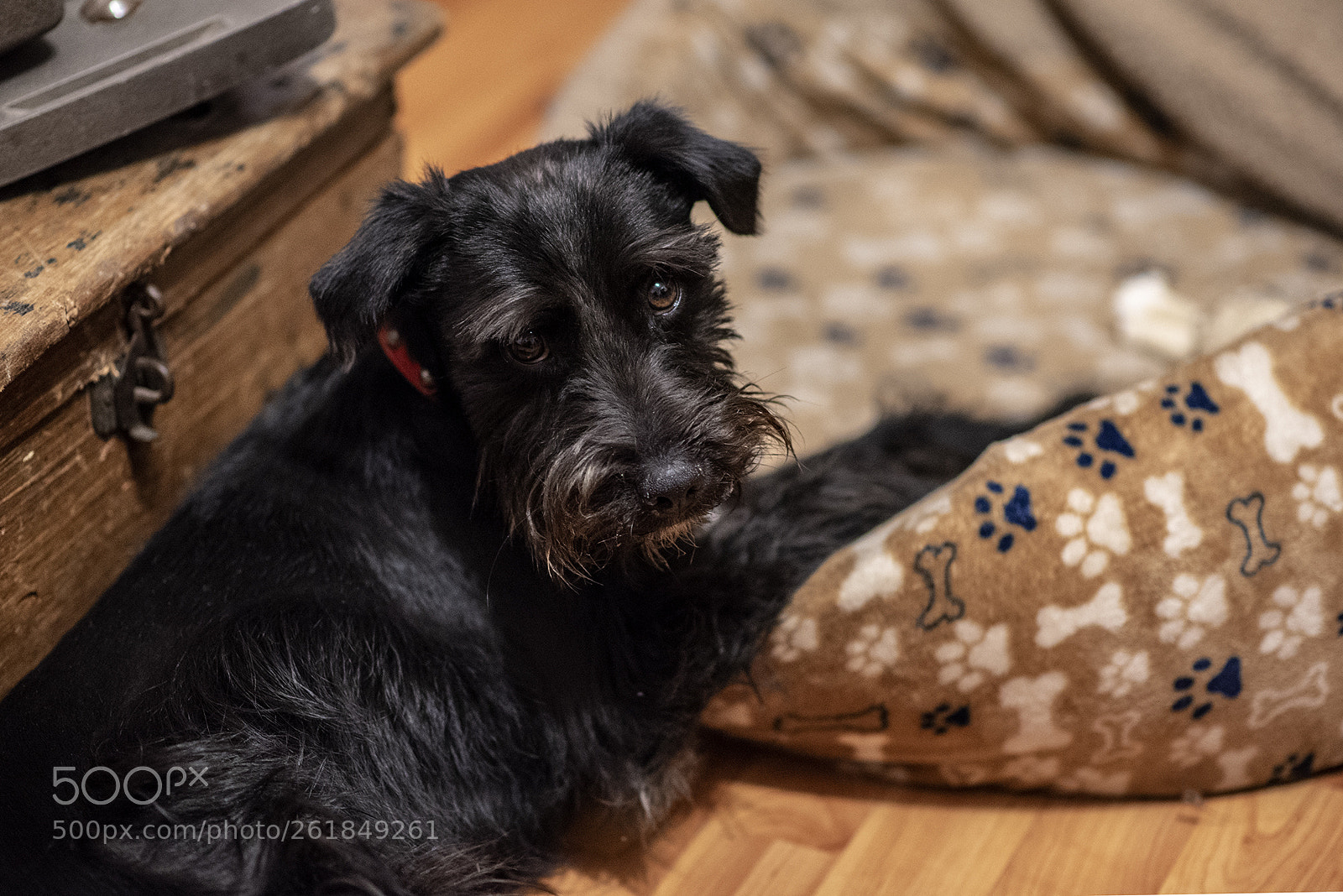 Nikon D750 sample photo. Flavio photography