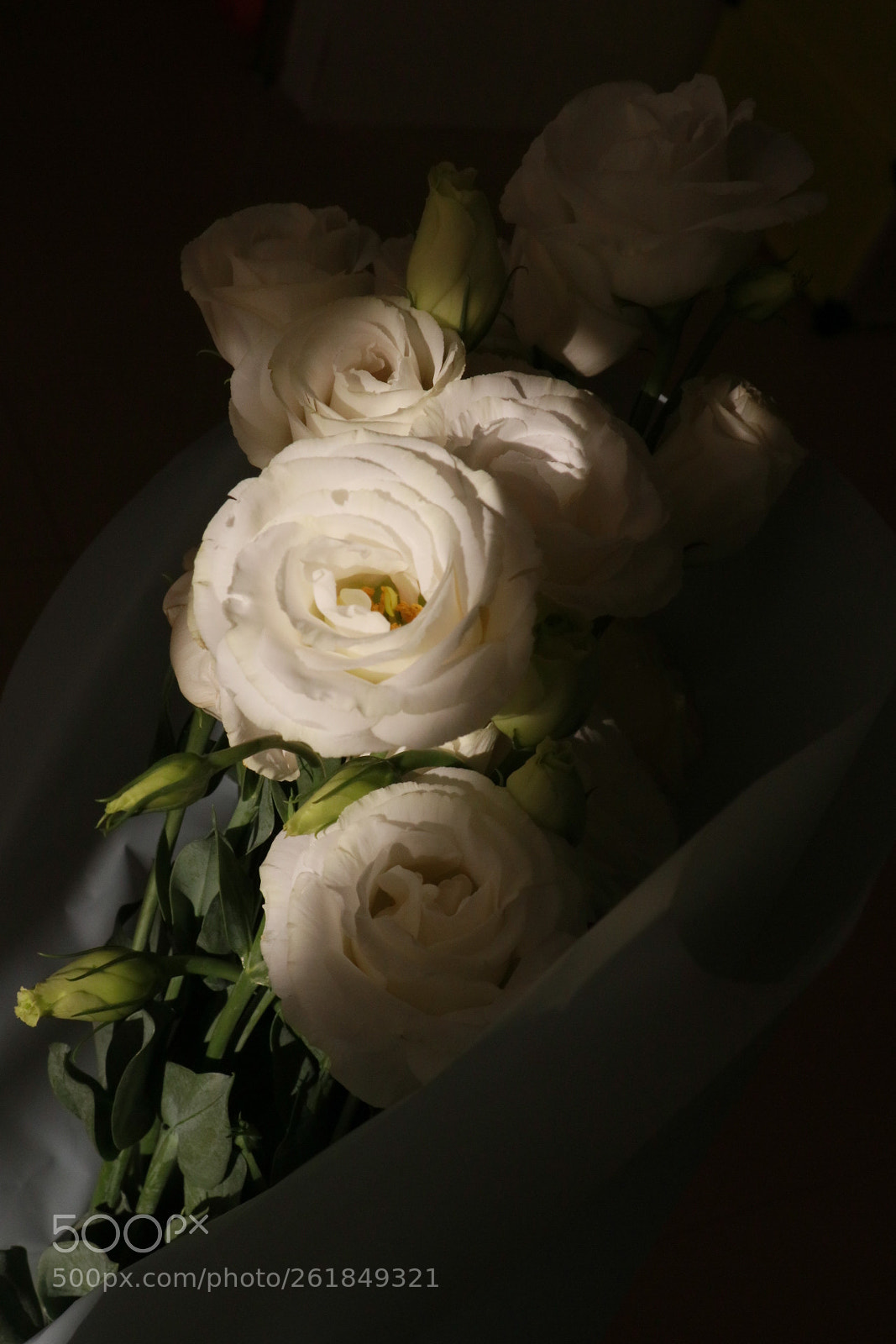 Canon EOS 80D sample photo. Untitled photography
