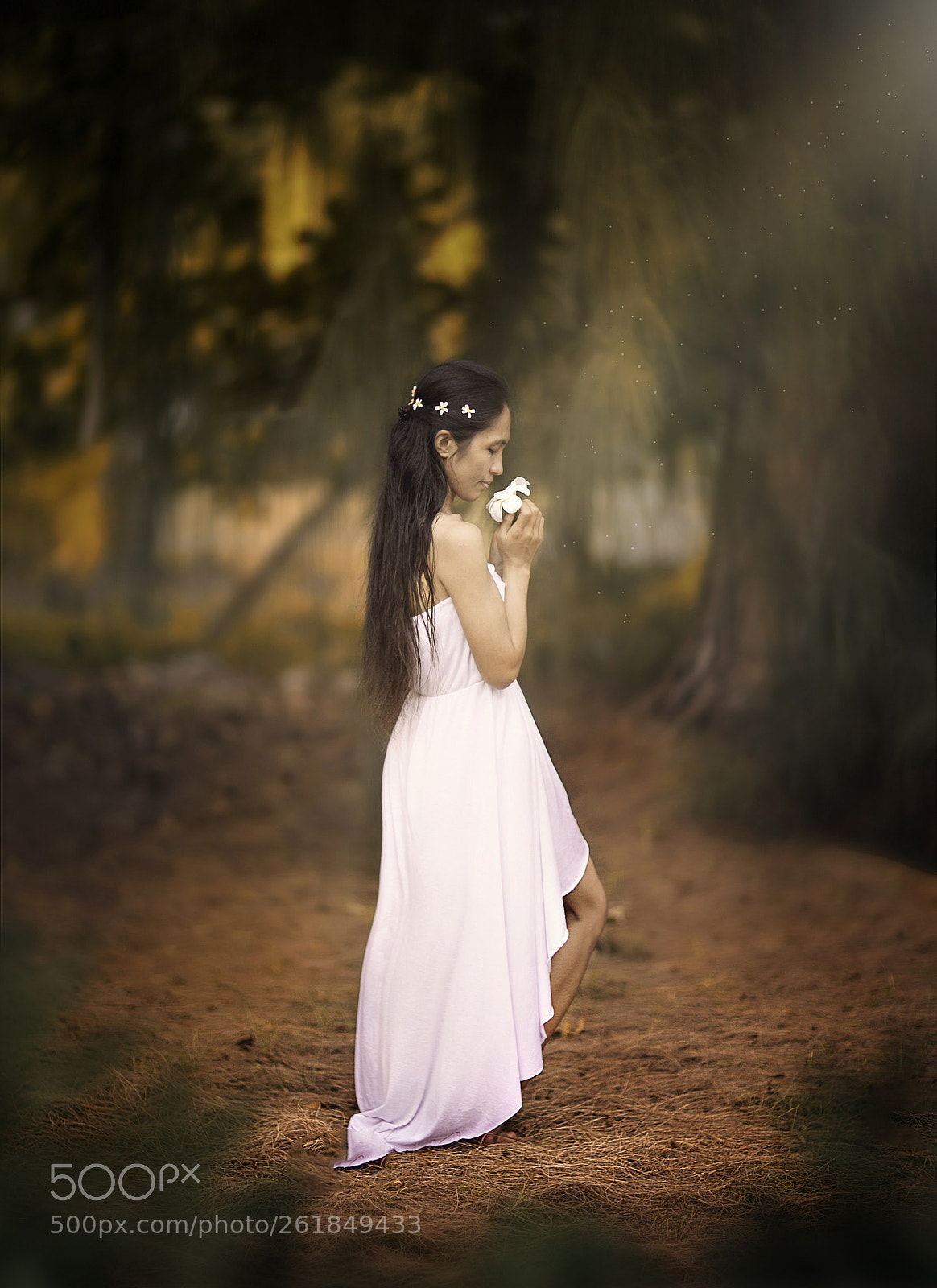 Canon EOS 6D sample photo. My fairytale. photography
