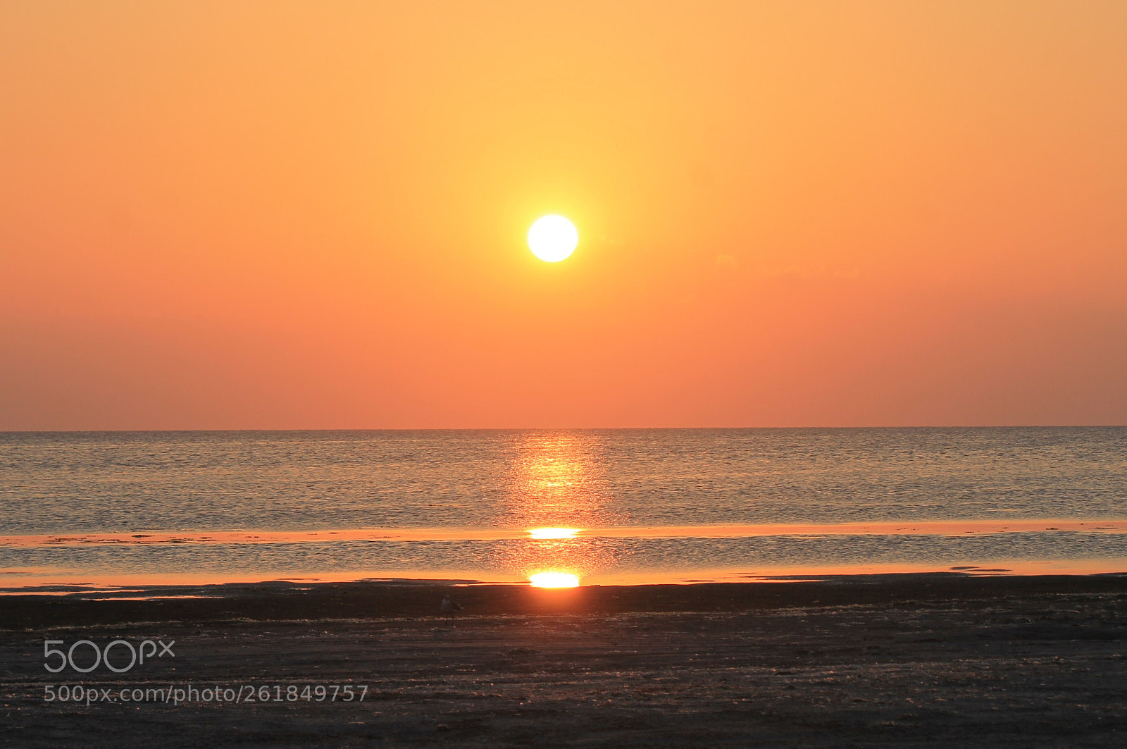 Canon EOS 1100D (EOS Rebel T3 / EOS Kiss X50) sample photo. Sunset photography