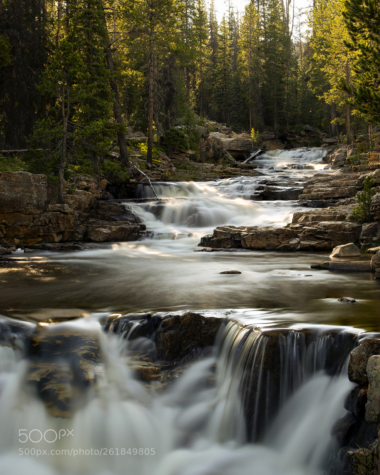 Olympus OM-D E-M5 sample photo. Uintah national forest, provo photography