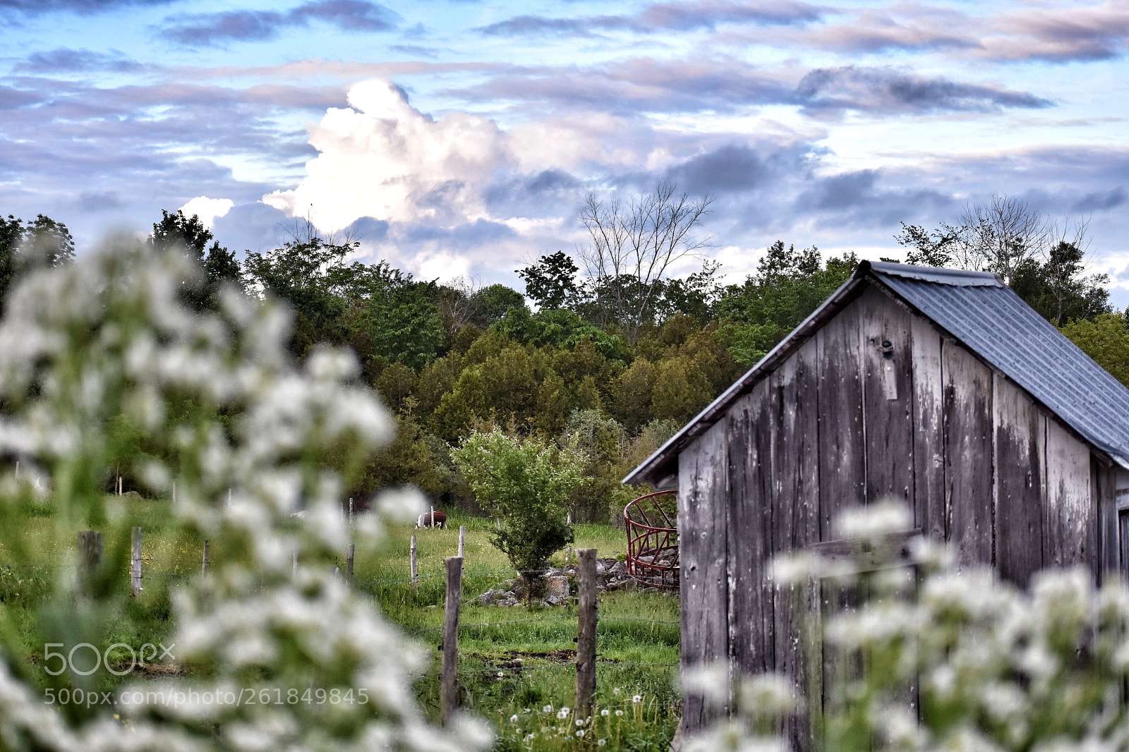 Nikon D3400 sample photo. Spring shed photography