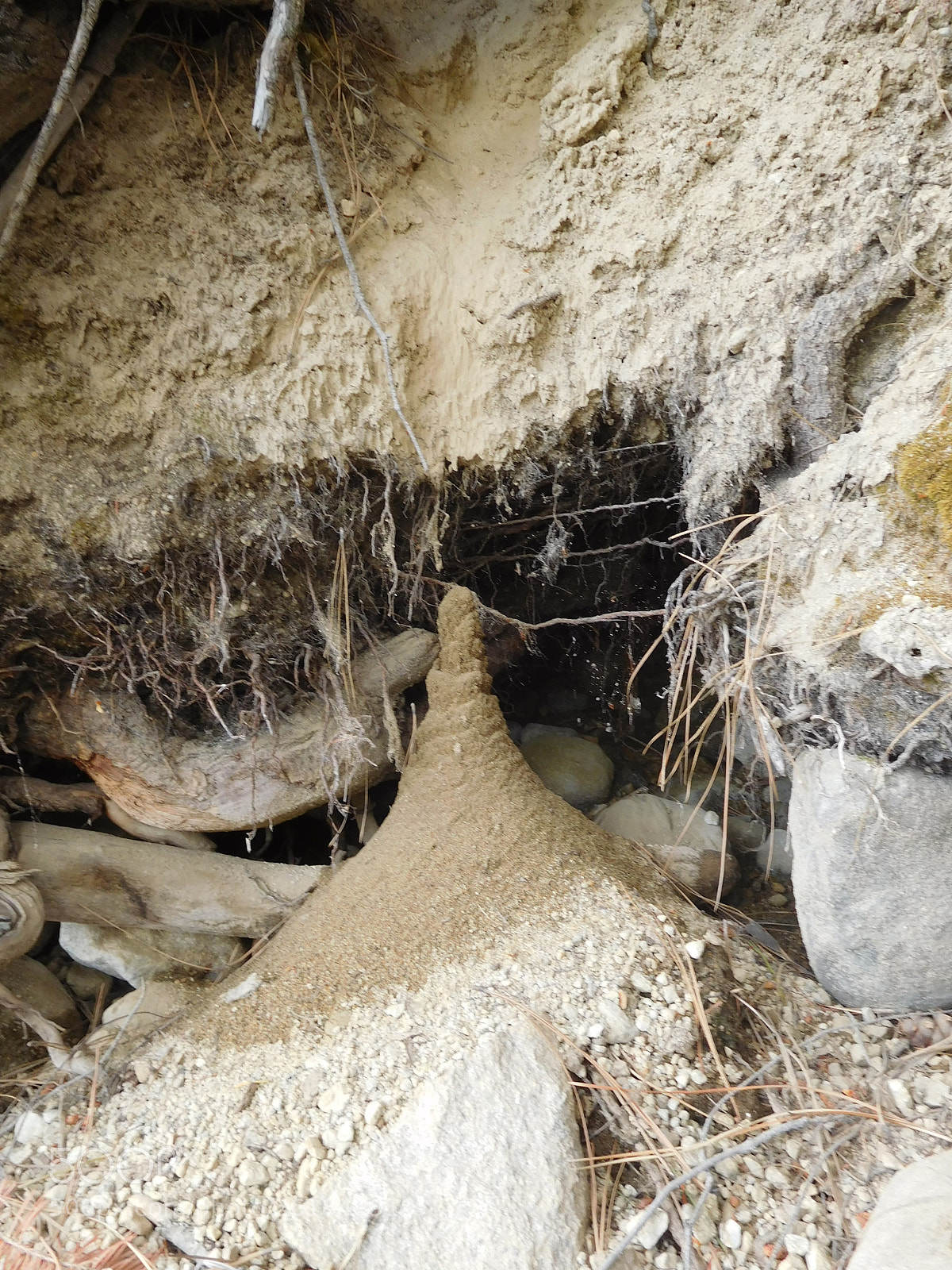 Nikon Coolpix S7000 sample photo. Dirt stalagmite photography