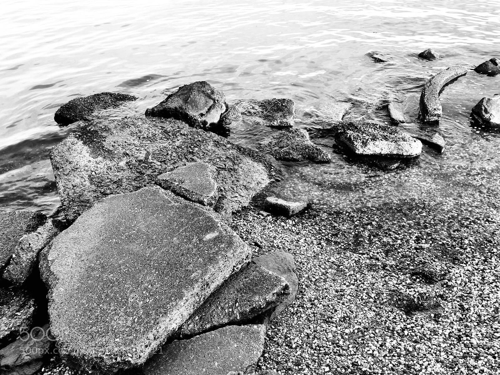 Canon EOS 80D sample photo. Untitled photography