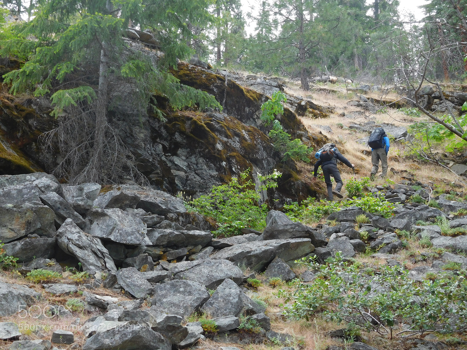 Nikon Coolpix S7000 sample photo. Climbing out from camp photography