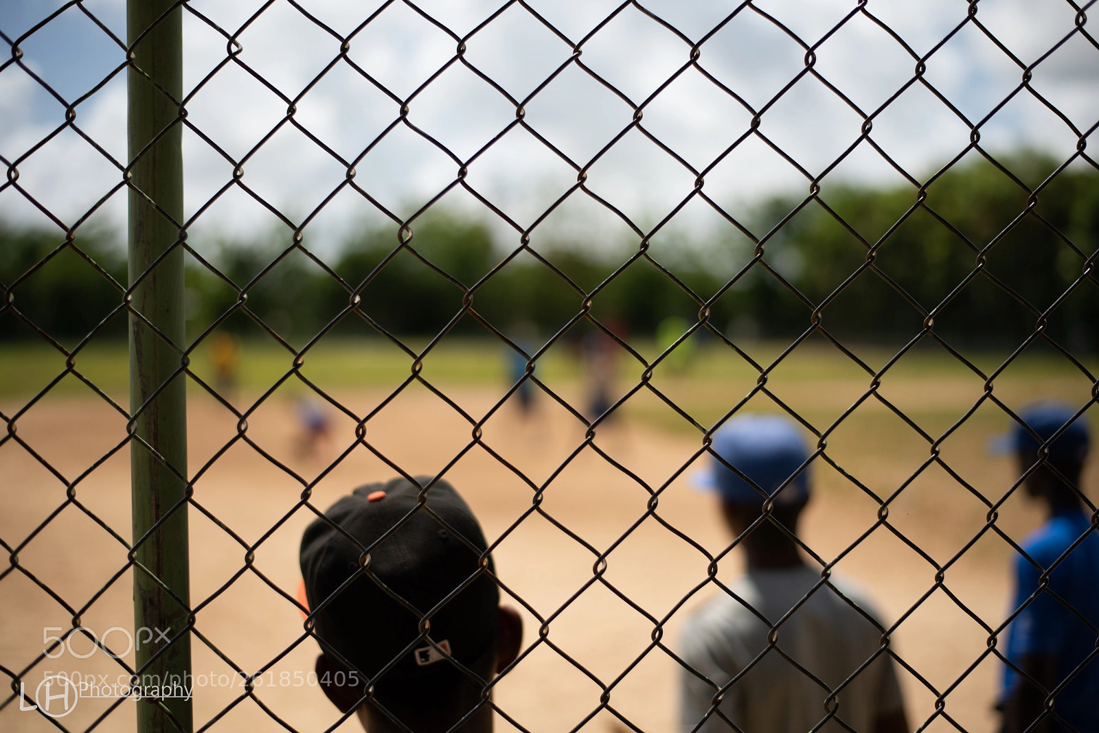 Nikon D810 sample photo. Through the fence photography