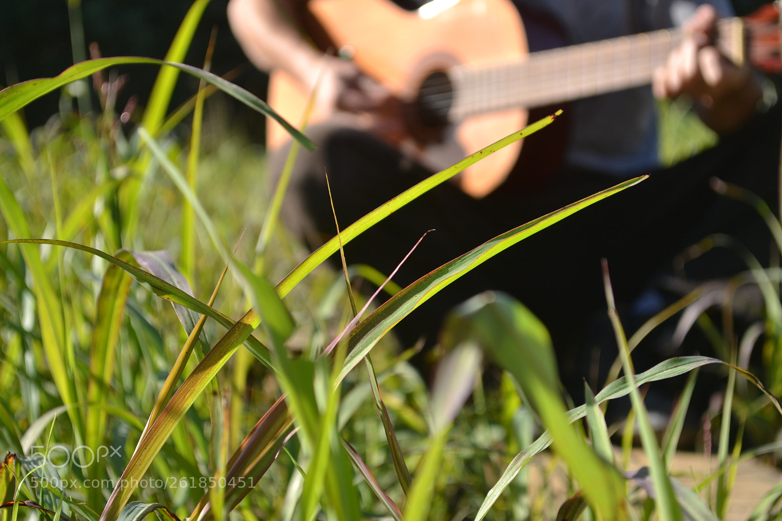Nikon D3100 sample photo. Untitled photography