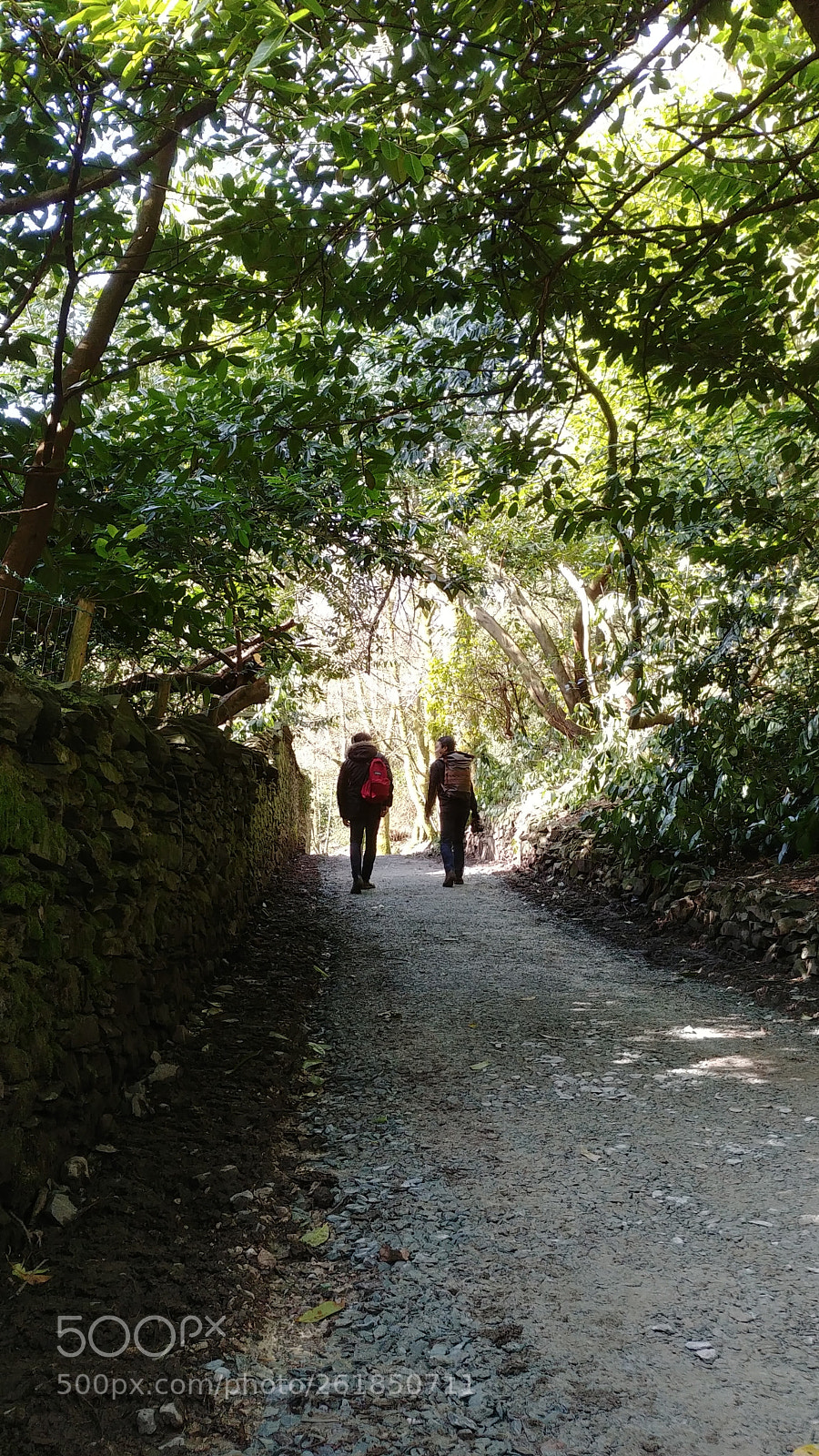 LG G6 sample photo. Walk to orest head photography
