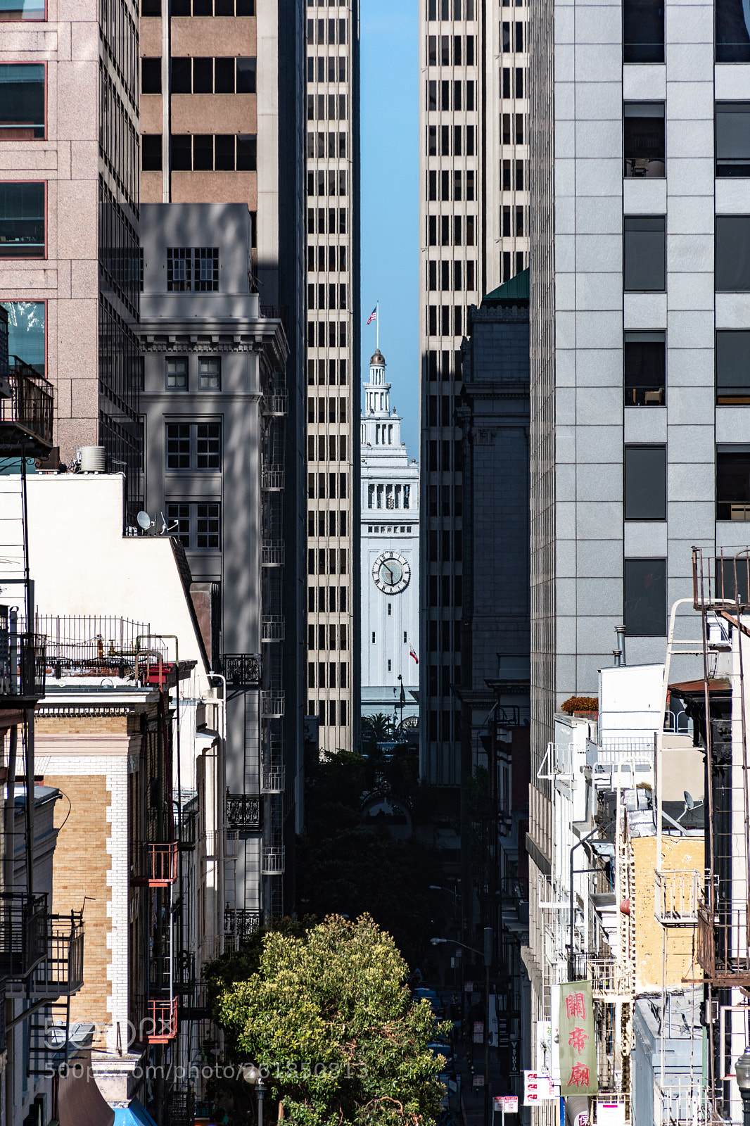 Nikon D5600 sample photo. Ferry building through the photography