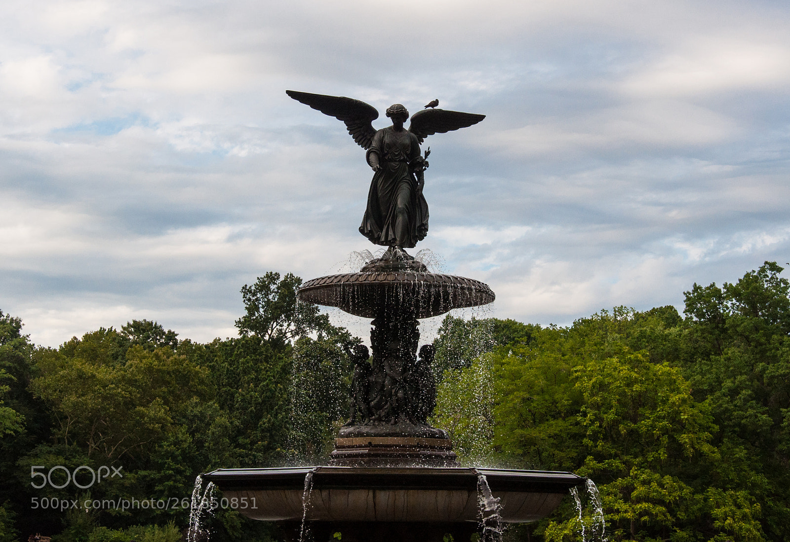 Nikon D90 sample photo. The lady in the photography