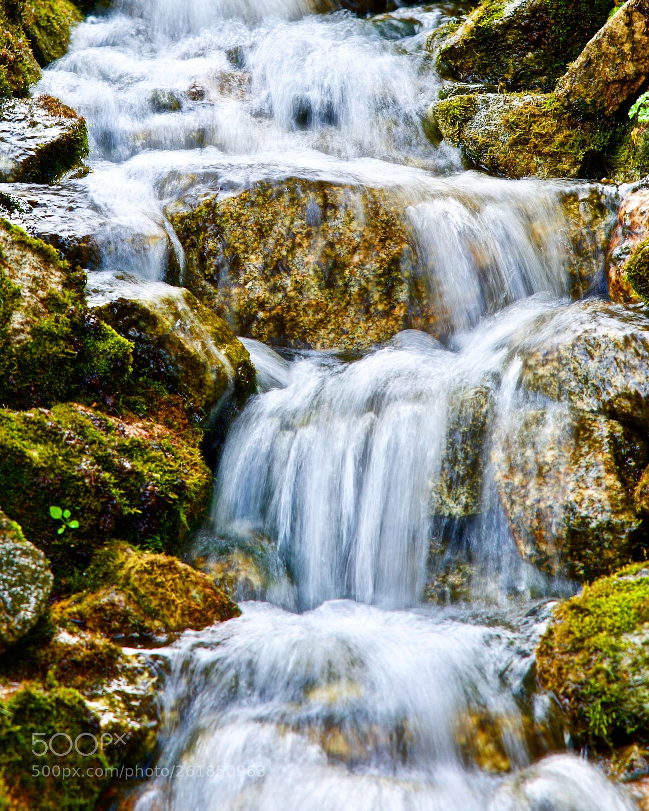 Nikon D750 sample photo. Falls in a stream  photography