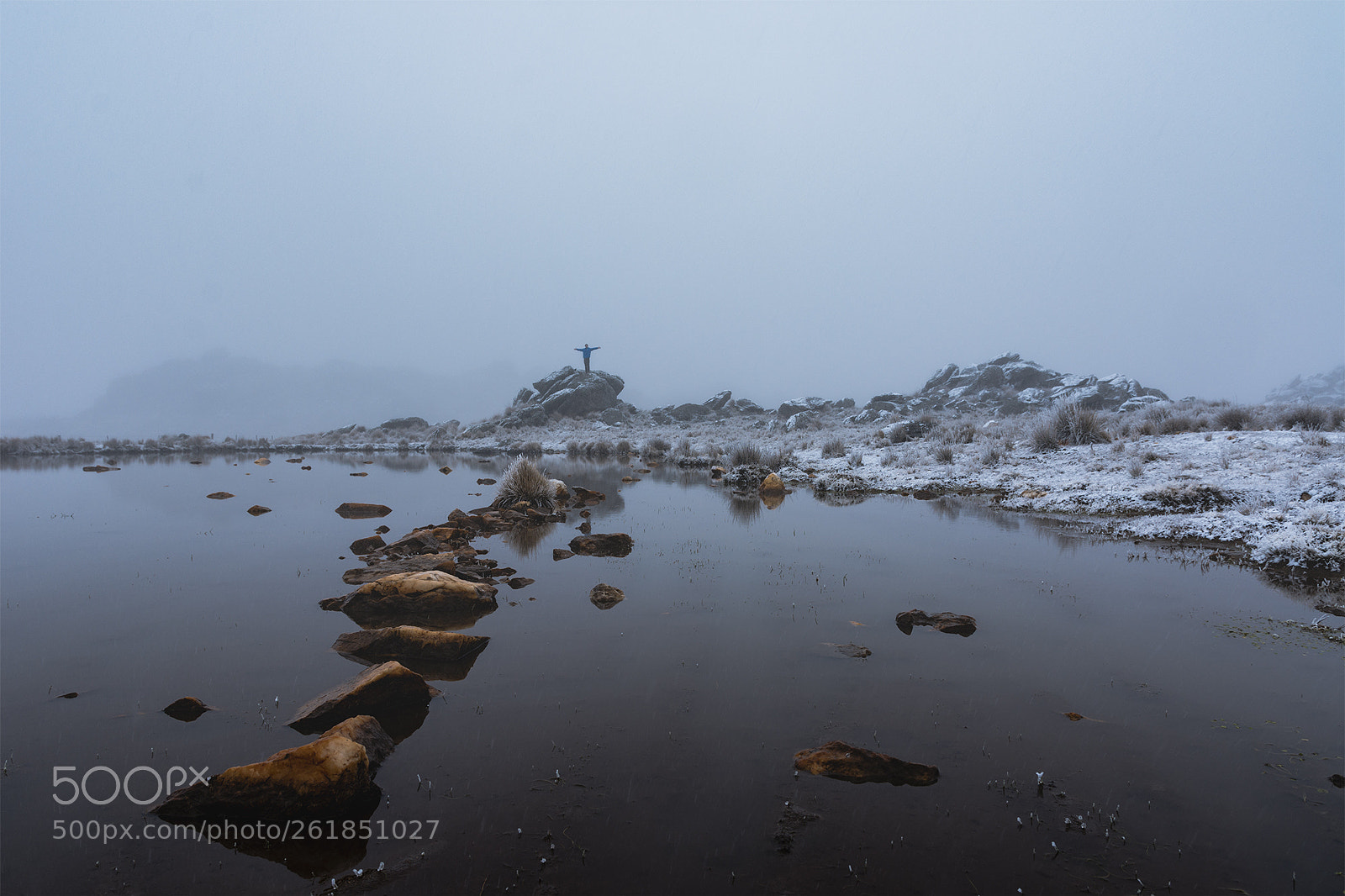 Nikon D7200 sample photo. Winds of winter photography