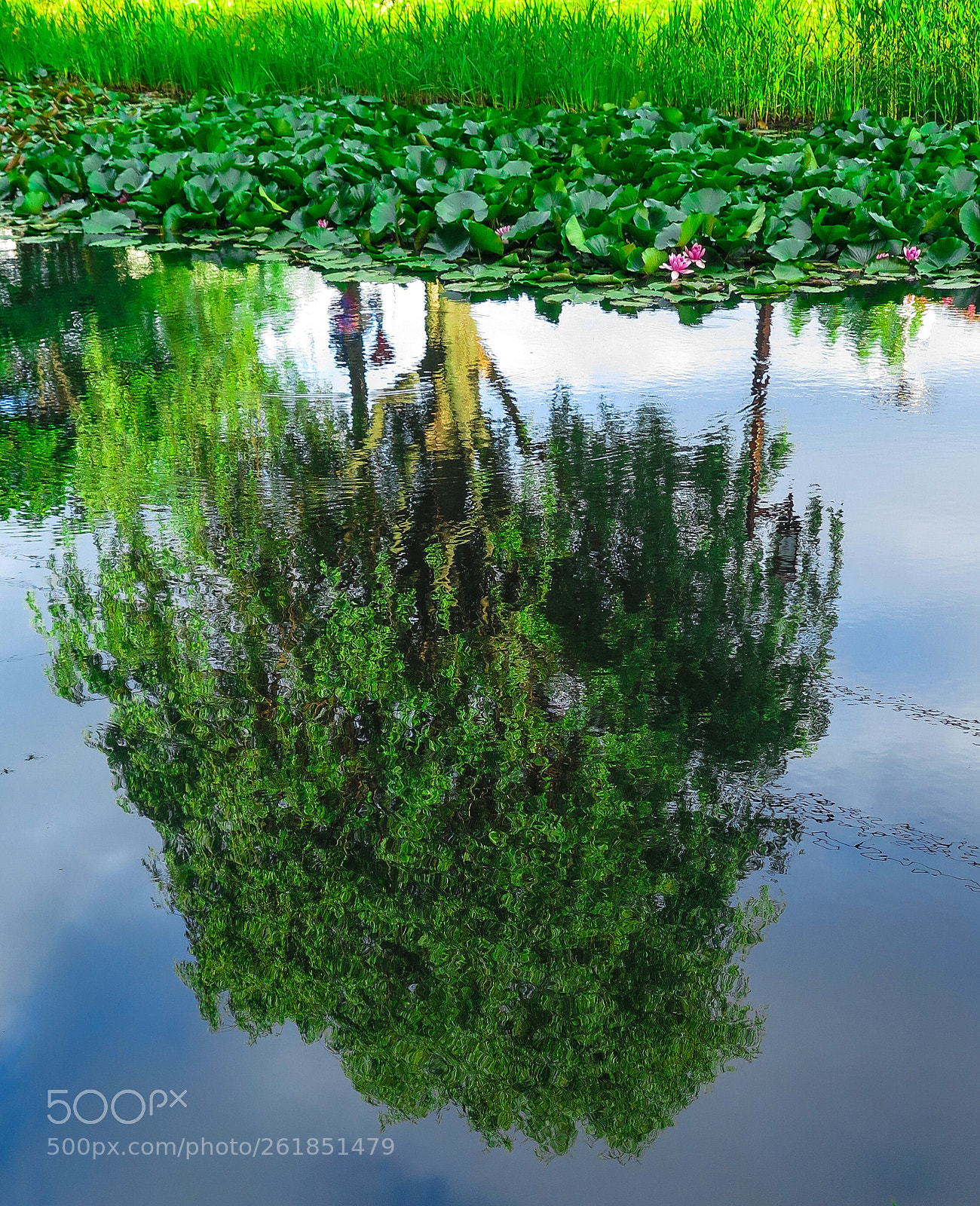 Canon PowerShot G16 sample photo. Reflection photography