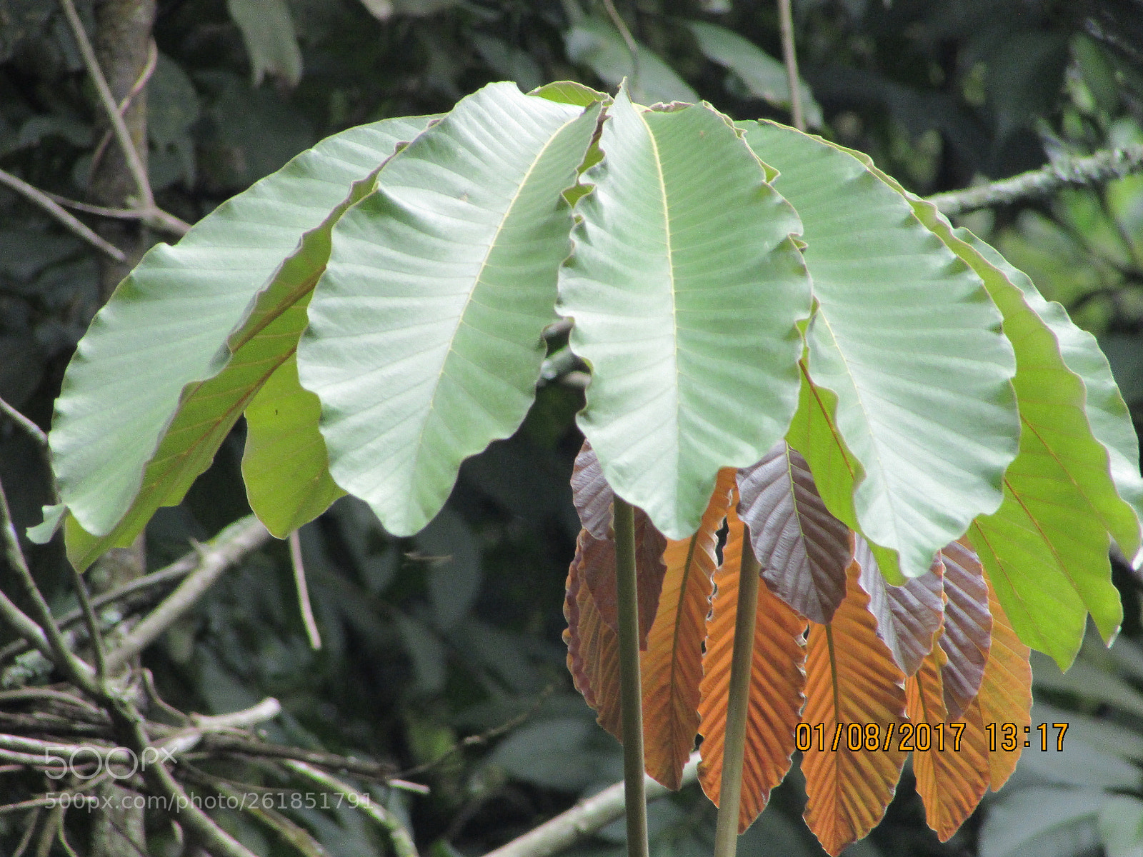 Canon PowerShot SX400 IS sample photo. Untitled photography