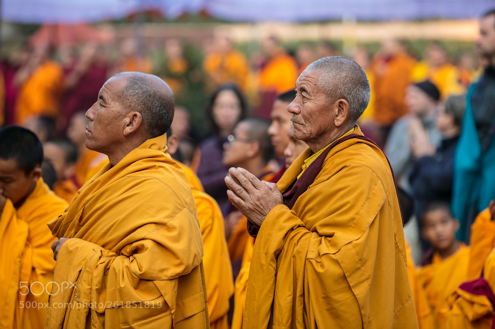 Canon EOS 5DS sample photo. A buddhist monk in photography