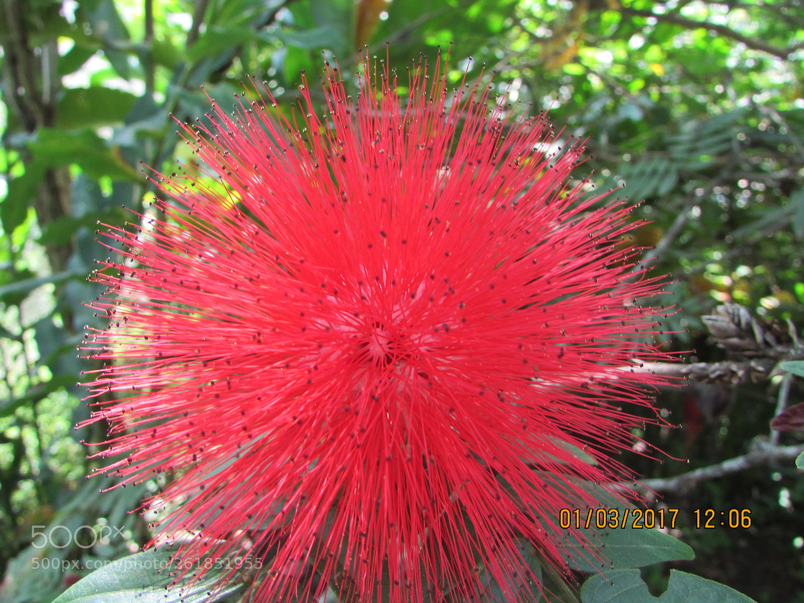 Canon PowerShot SX400 IS sample photo. Untitled photography