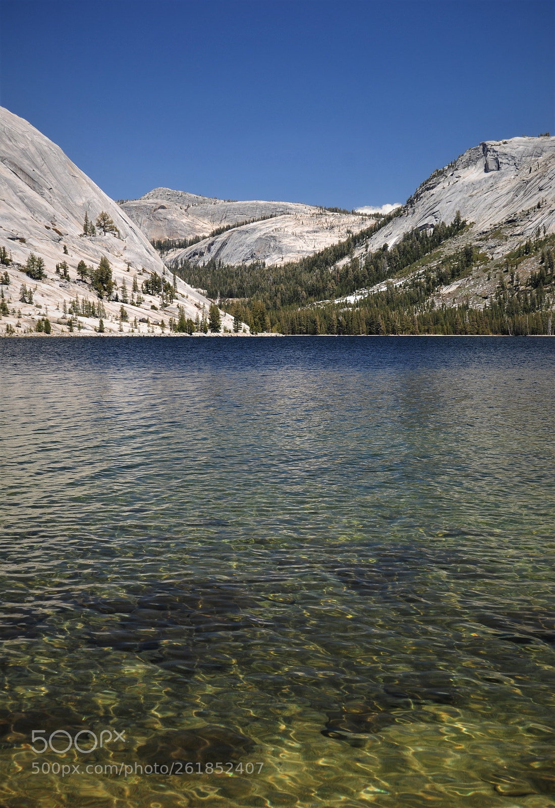 Nikon D5000 sample photo. Tenaya lake photography