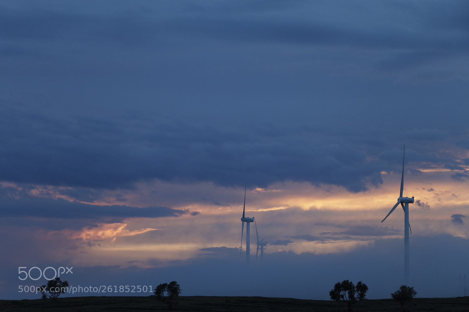 Canon EOS 70D sample photo. 拷贝 photography