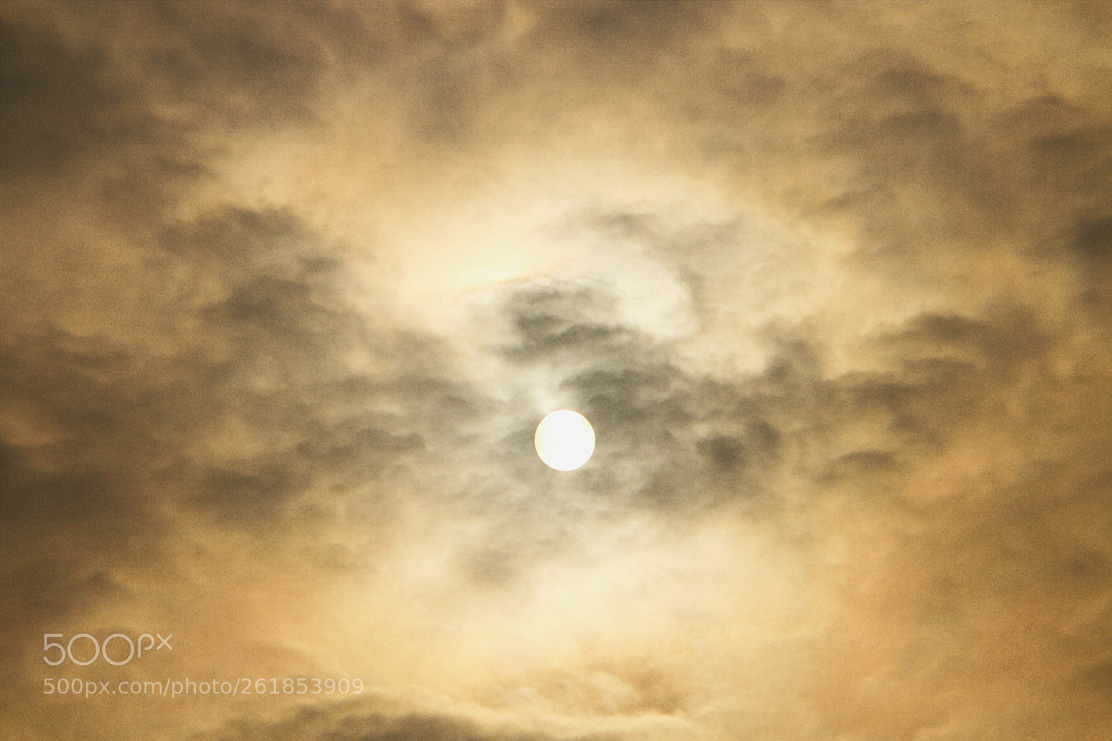 Canon EOS 70D sample photo. Untitled photography