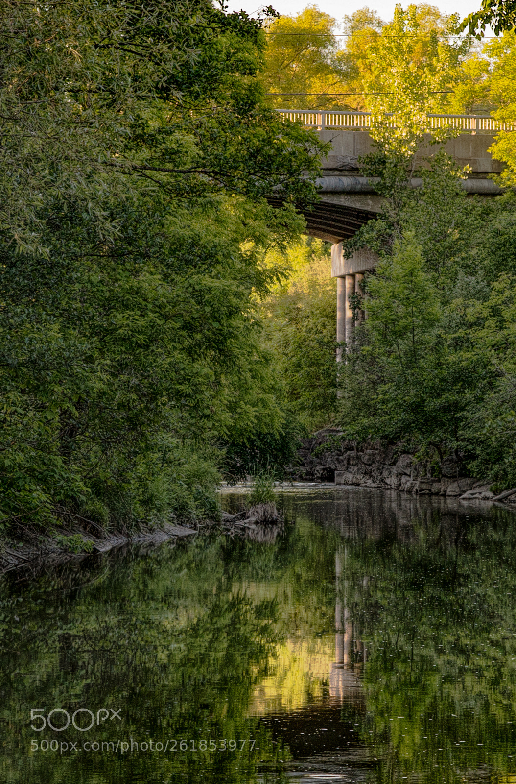 Nikon D610 sample photo. River reflections photography