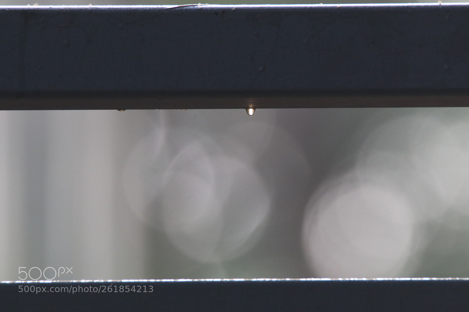 Tamron SP 150-600mm F5-6.3 Di VC USD sample photo. 露水的夏天the summer of dew photography