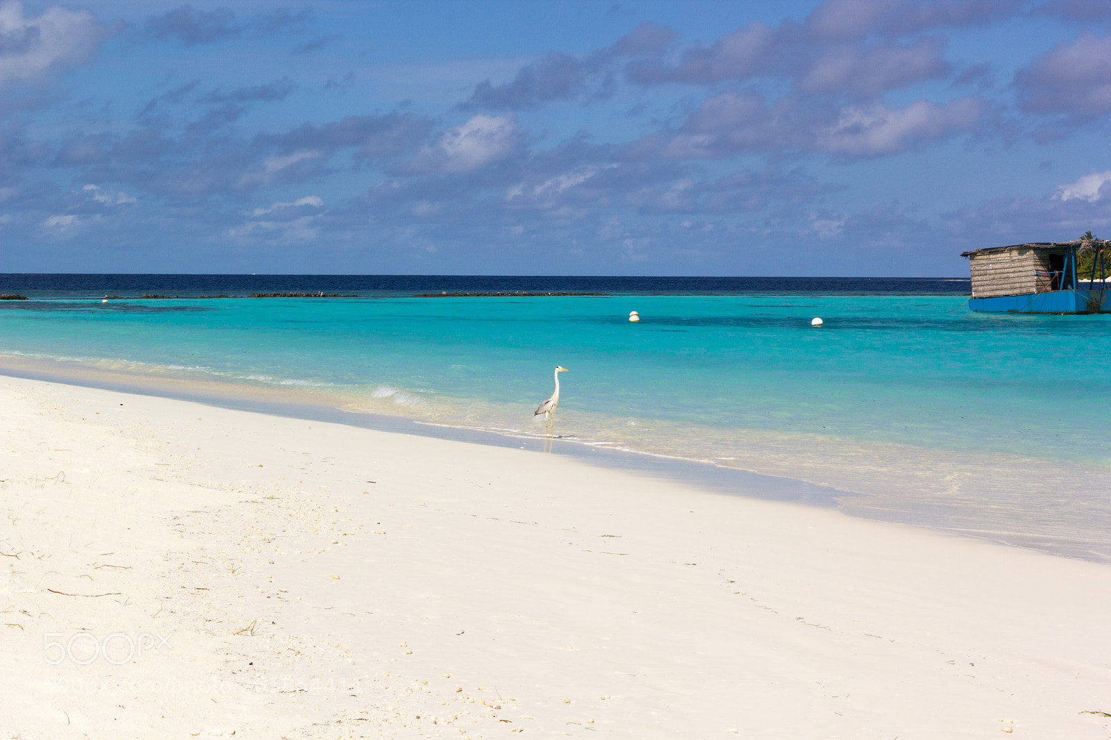 Canon EOS 60D sample photo. Maldives photography