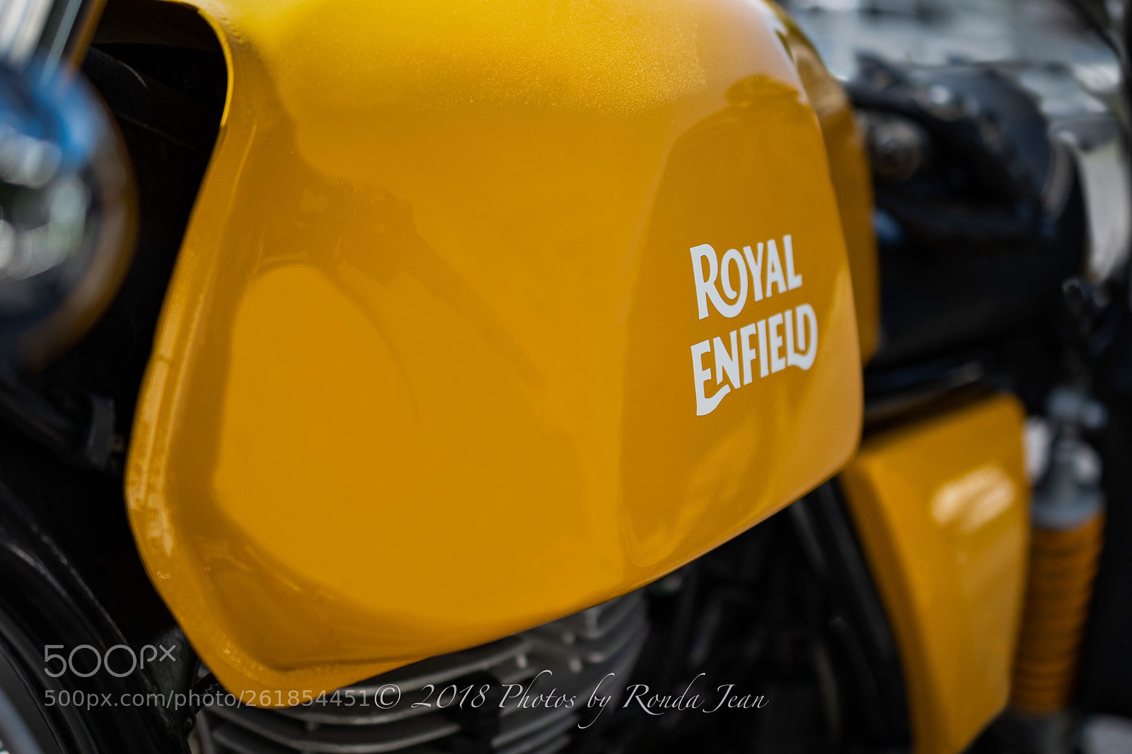 Nikon D500 sample photo. Untitled photography