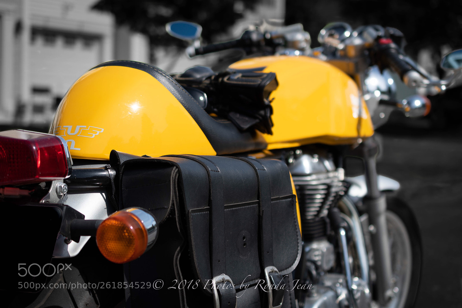 Nikon D500 sample photo. Untitled photography