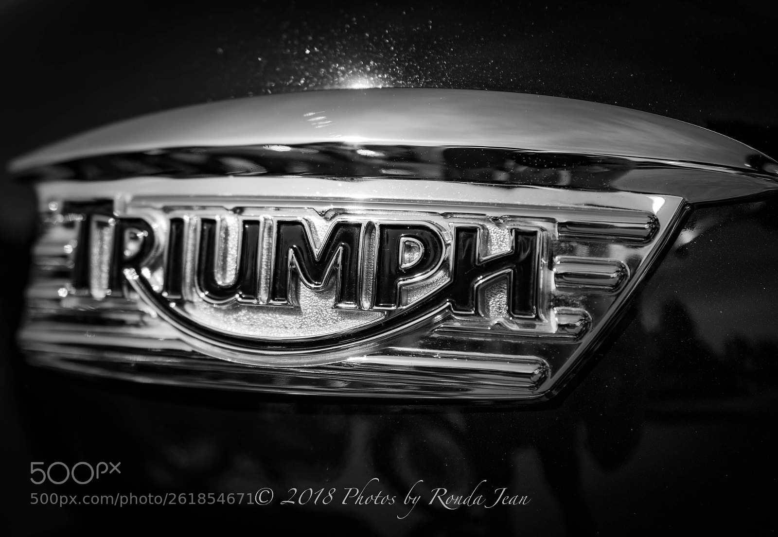 Nikon D500 sample photo. Untitled photography