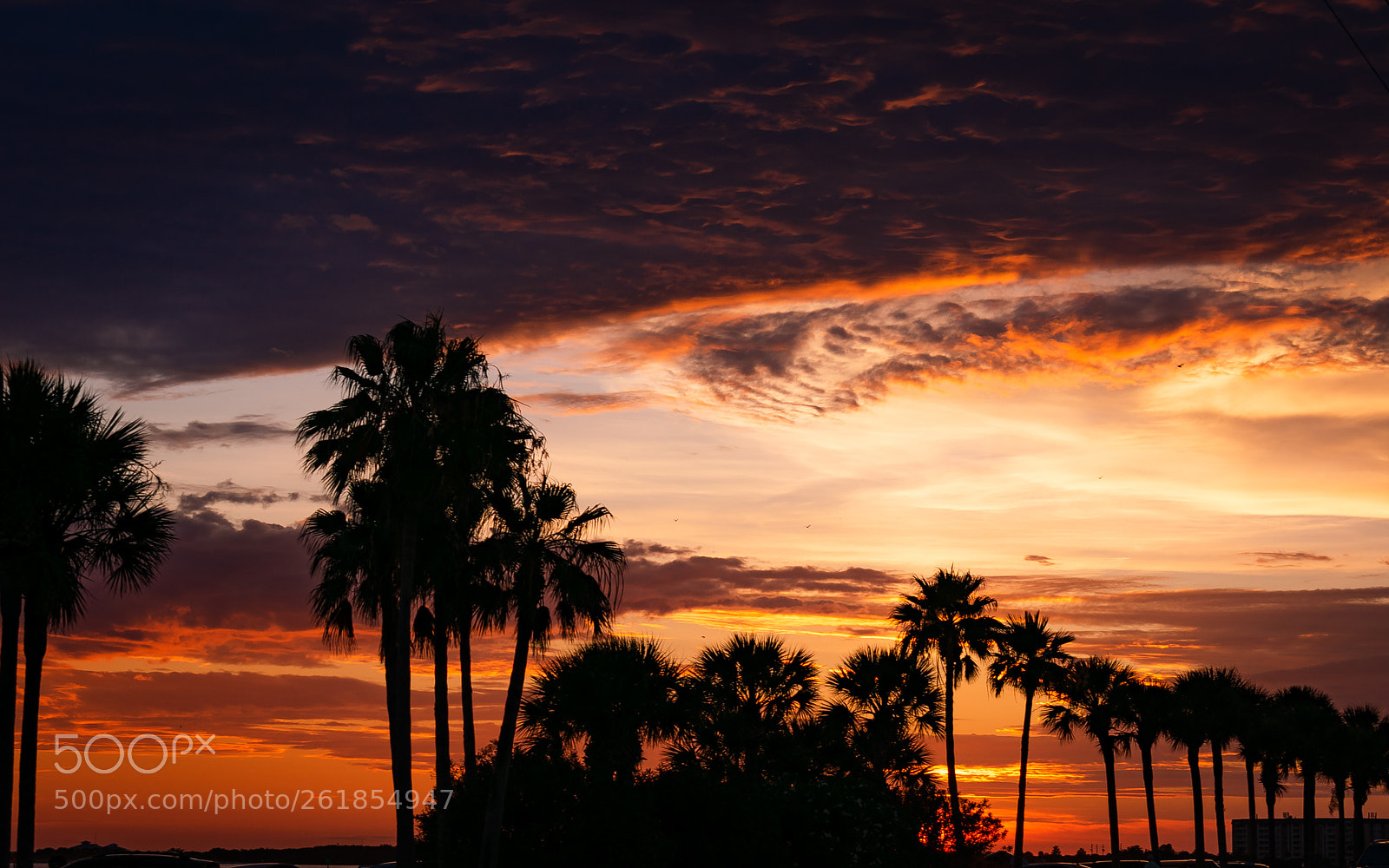 Nikon D3400 sample photo. Causeway sunset photography