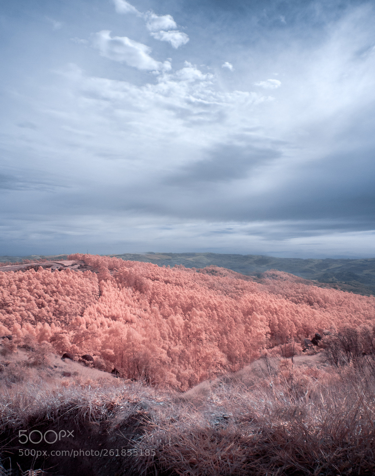Panasonic Lumix DMC-GF3 sample photo. Infrared joaqui egidio pico photography